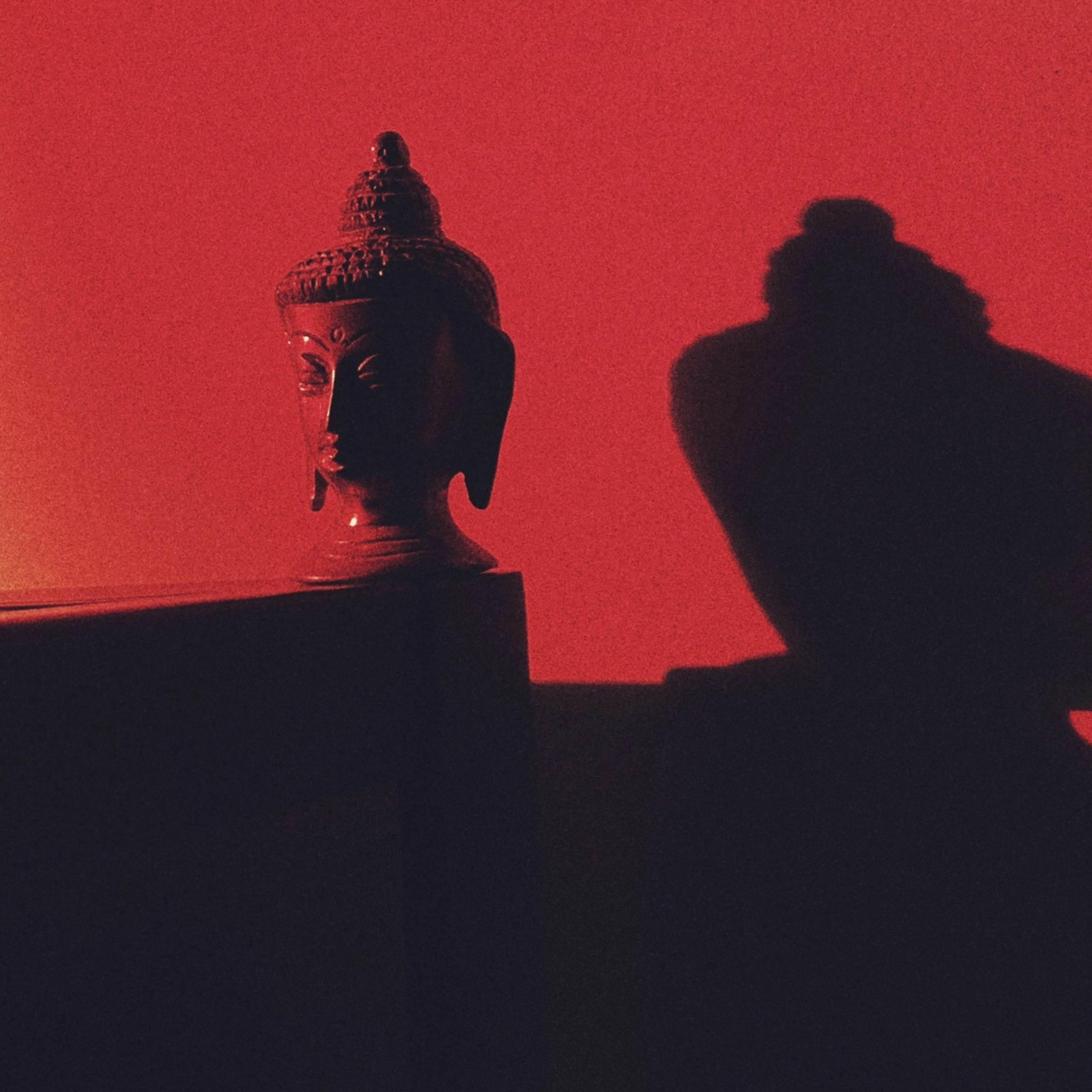 Как фотографировали бы инопланетяне?. Ленивый фотоблог