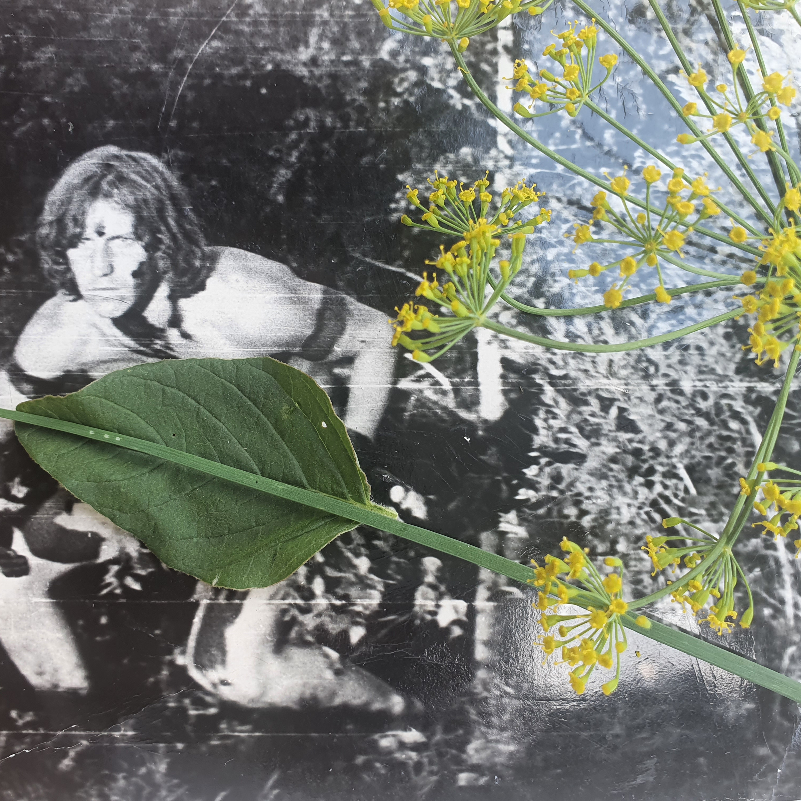 ФОТОПРОЕКТЫ. Современное искусство, глитч арт, glitch art