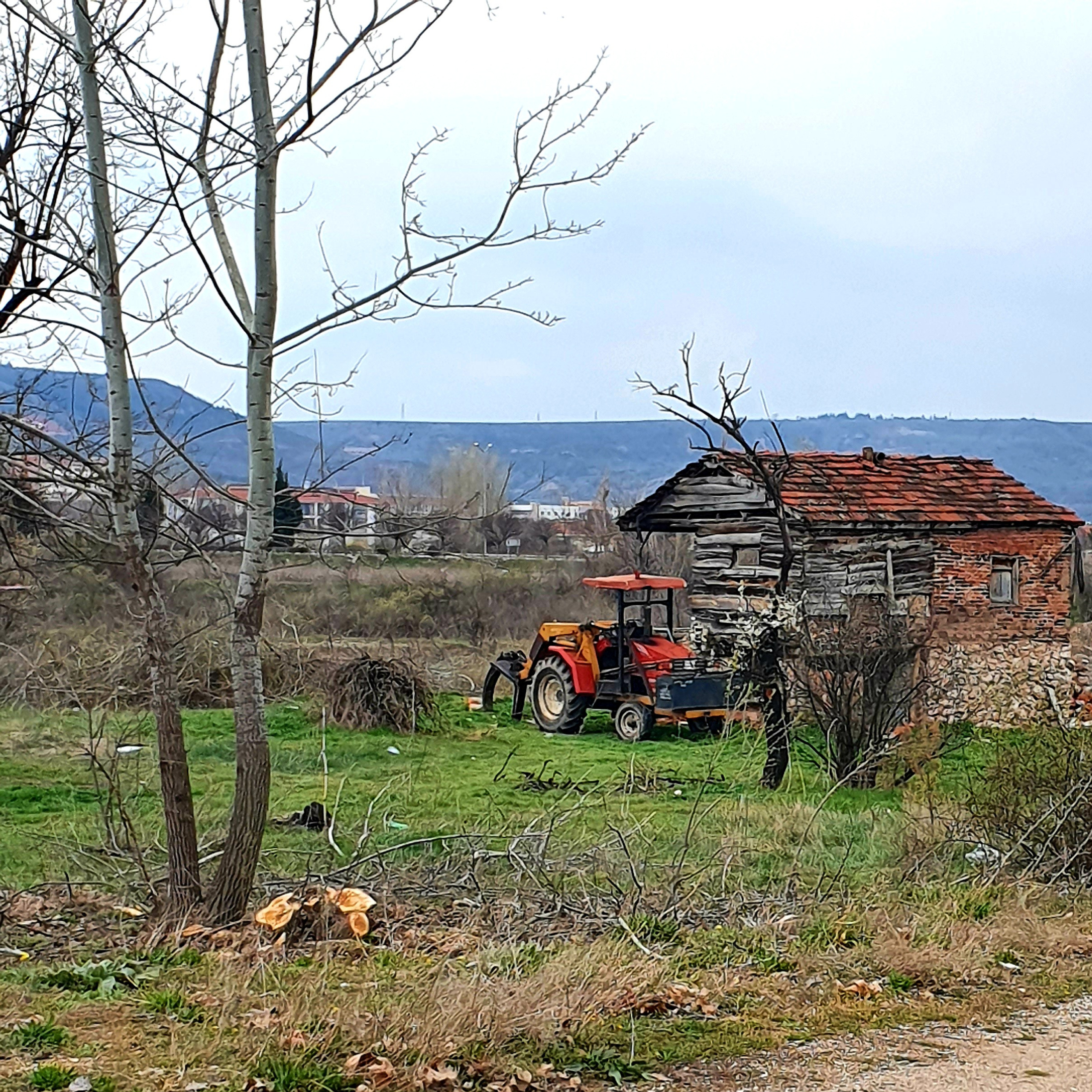 Street фото. Consultation on printing in various magazines, illustrations for books