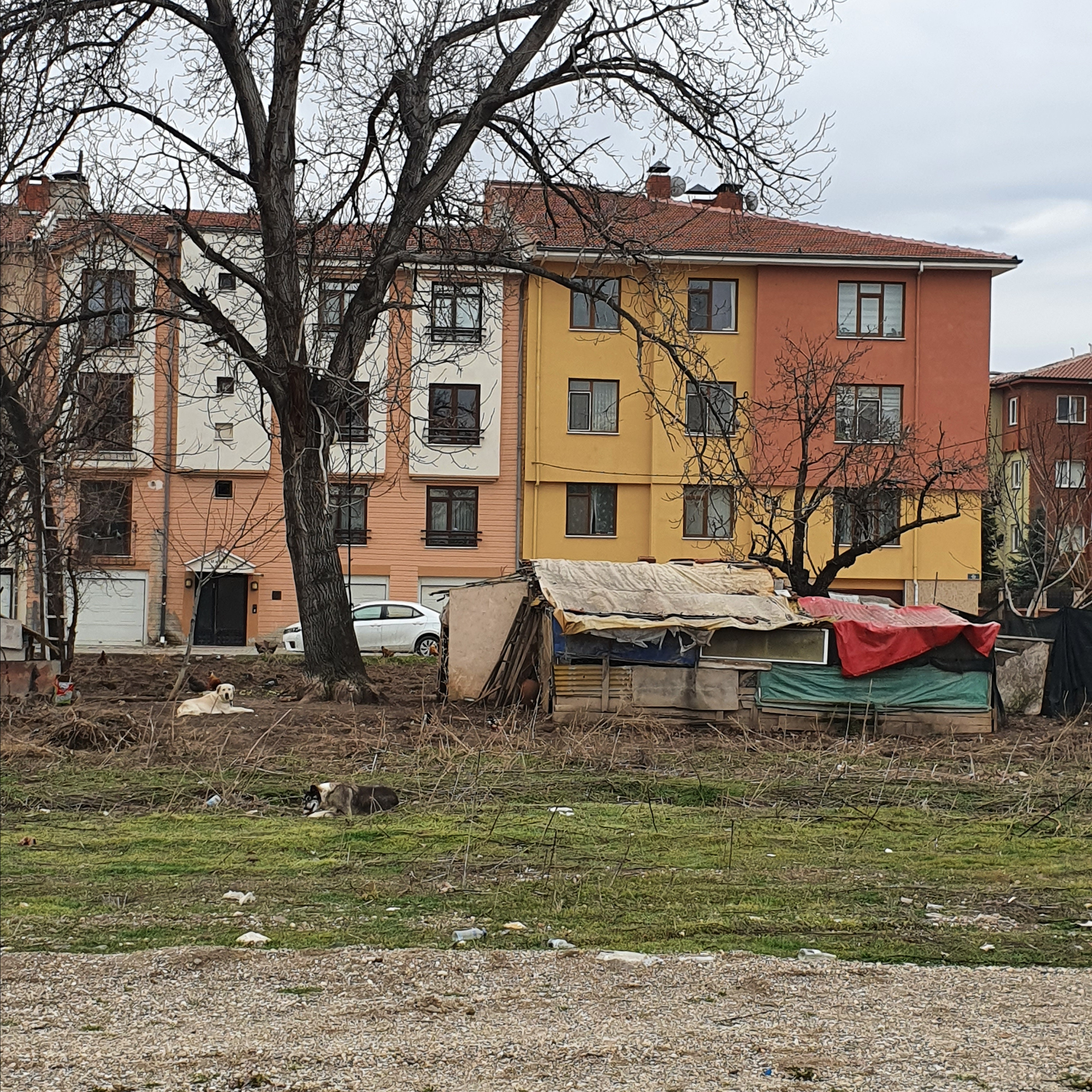 Street фото. Consultation on printing in various magazines, illustrations for books