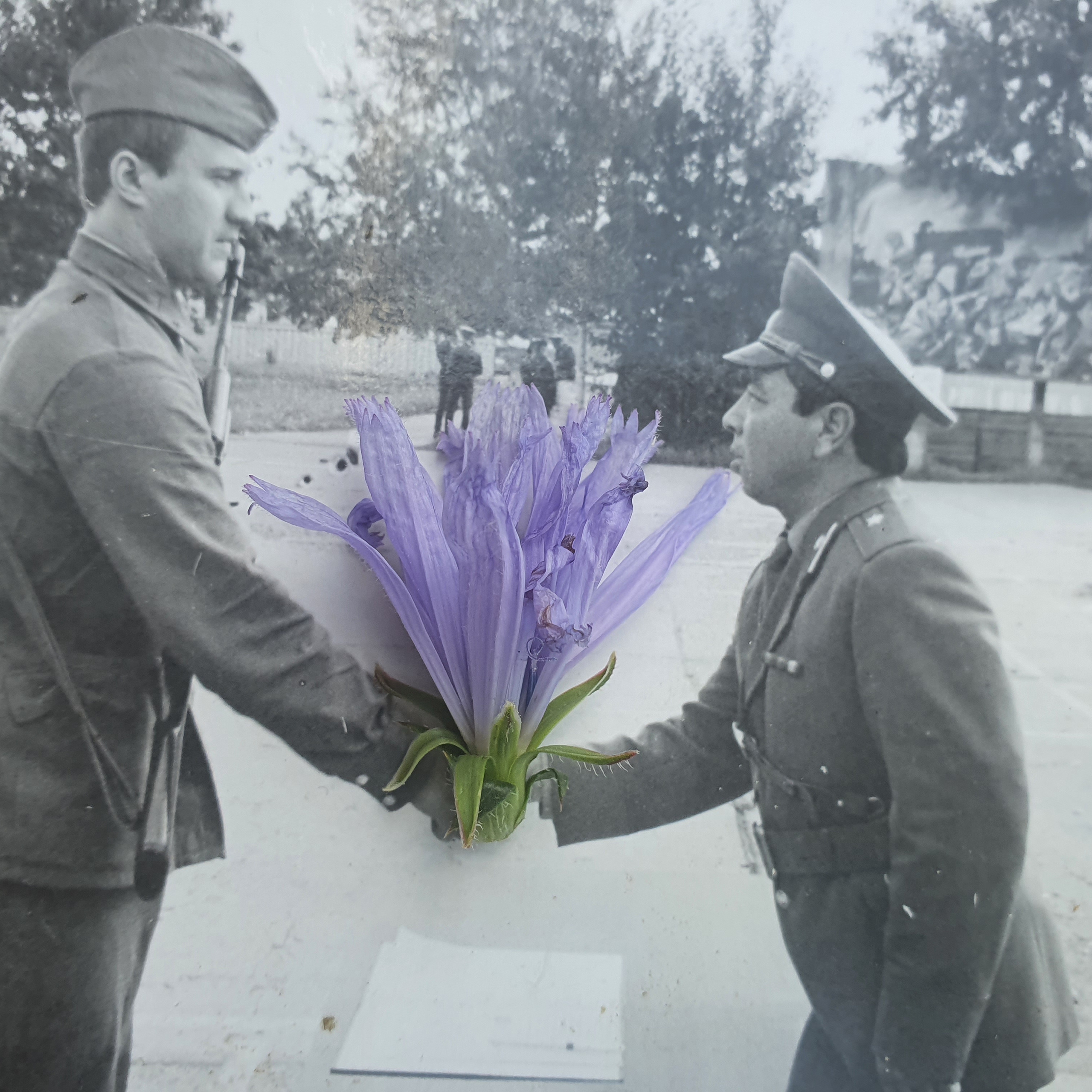 ФОТОПРОЕКТЫ. Современное искусство, глитч арт, glitch art