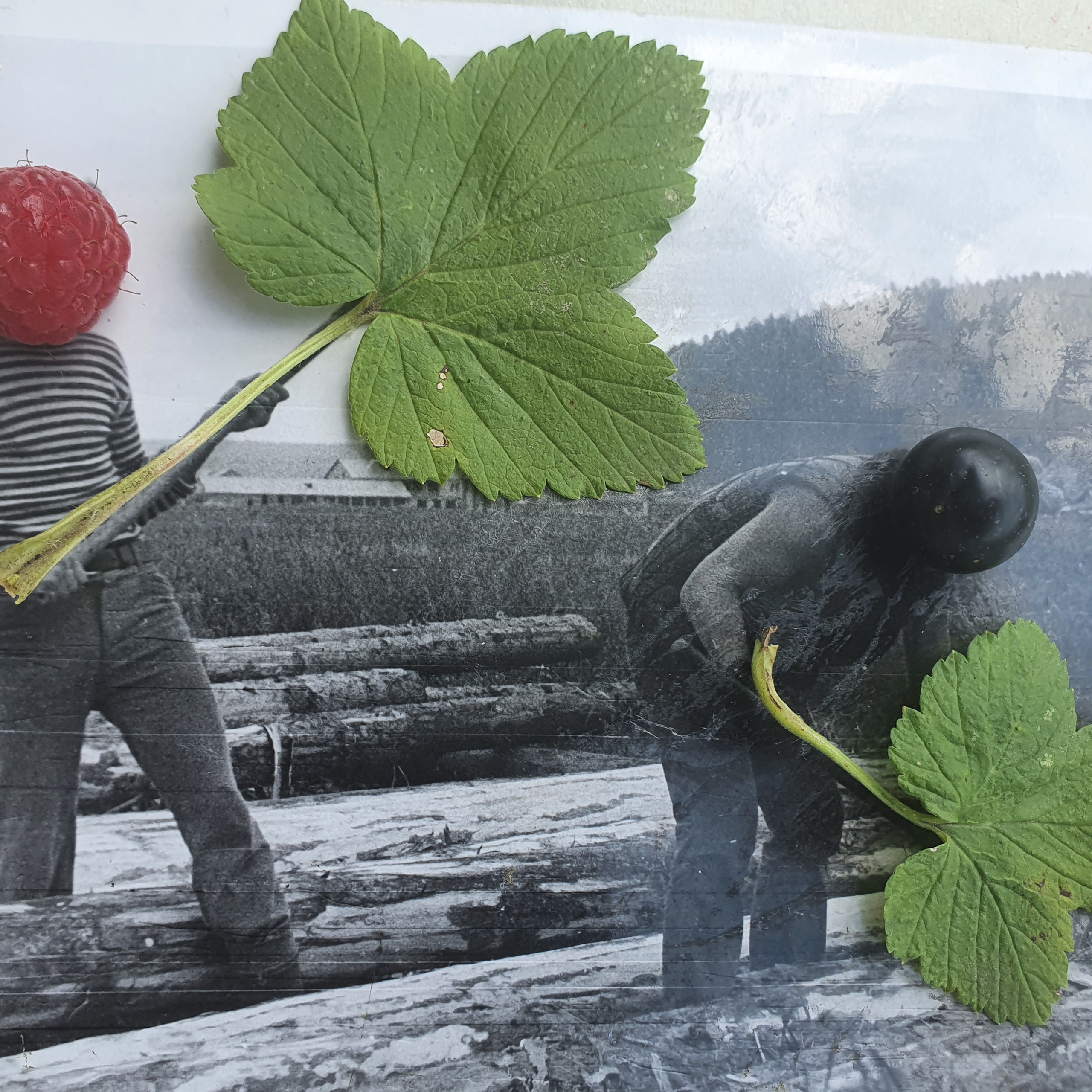 ФОТОПРОЕКТЫ. Современное искусство, глитч арт, glitch art