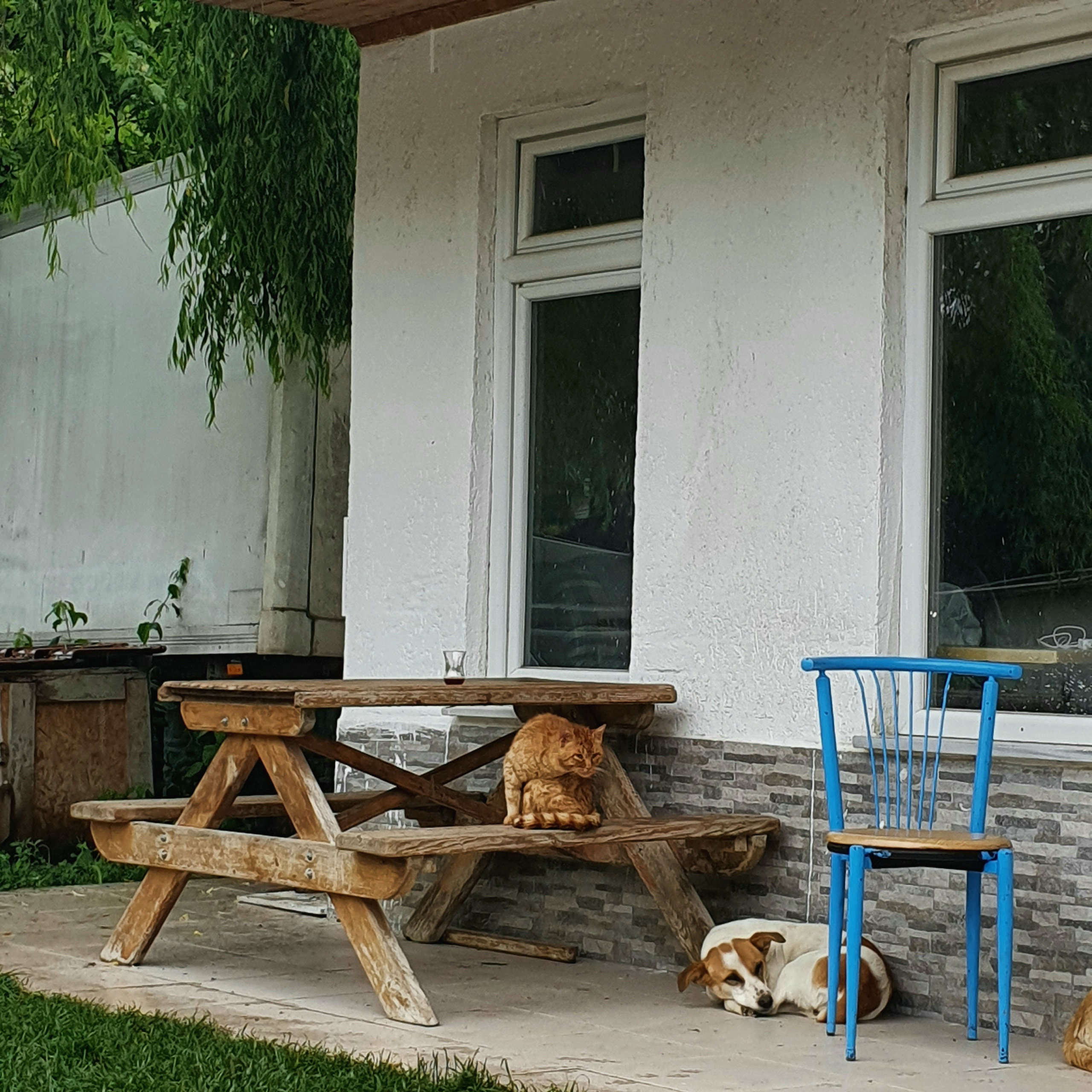 Street фото. Consultation on printing in various magazines, illustrations for books