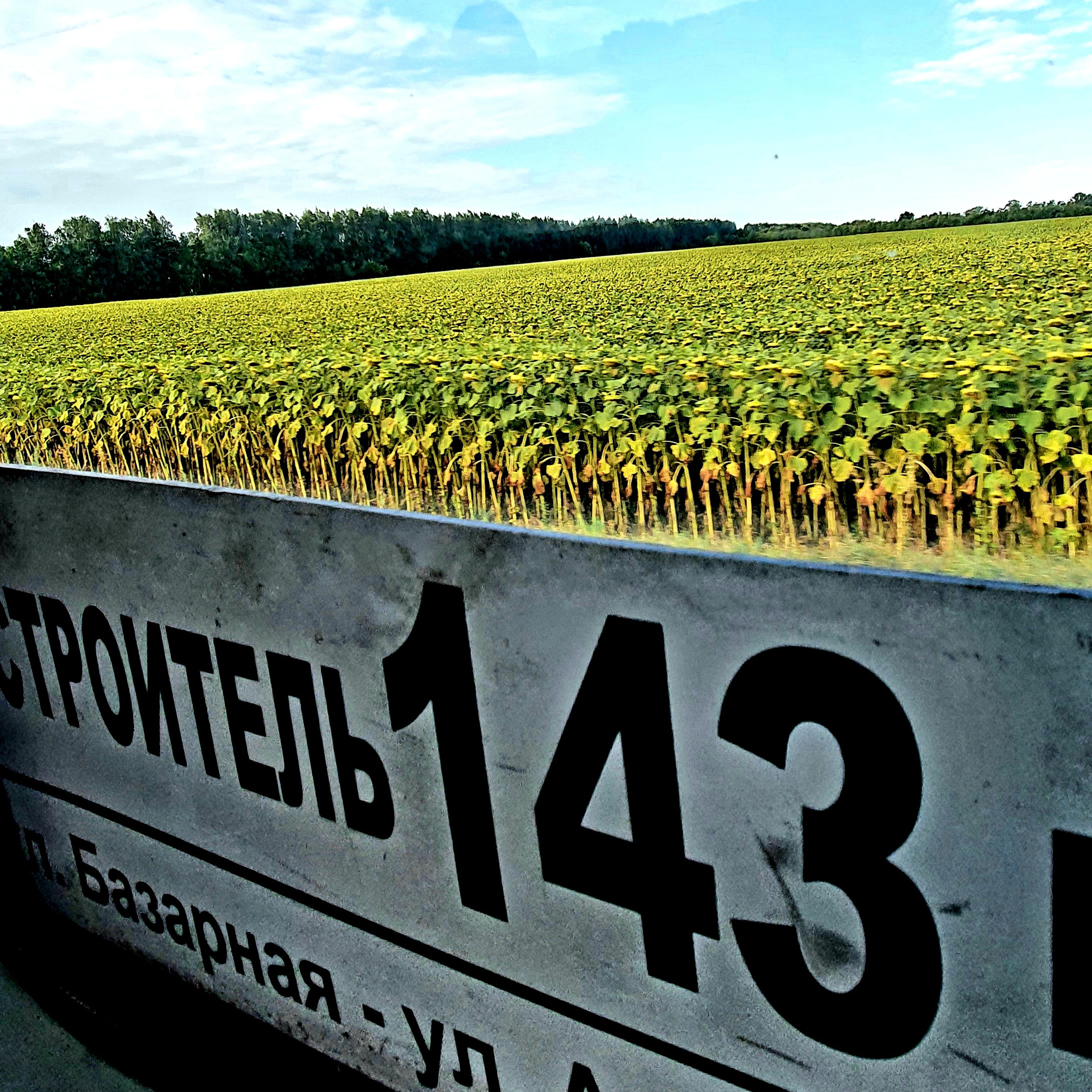 Street фото. Consultation on printing in various magazines, illustrations for books