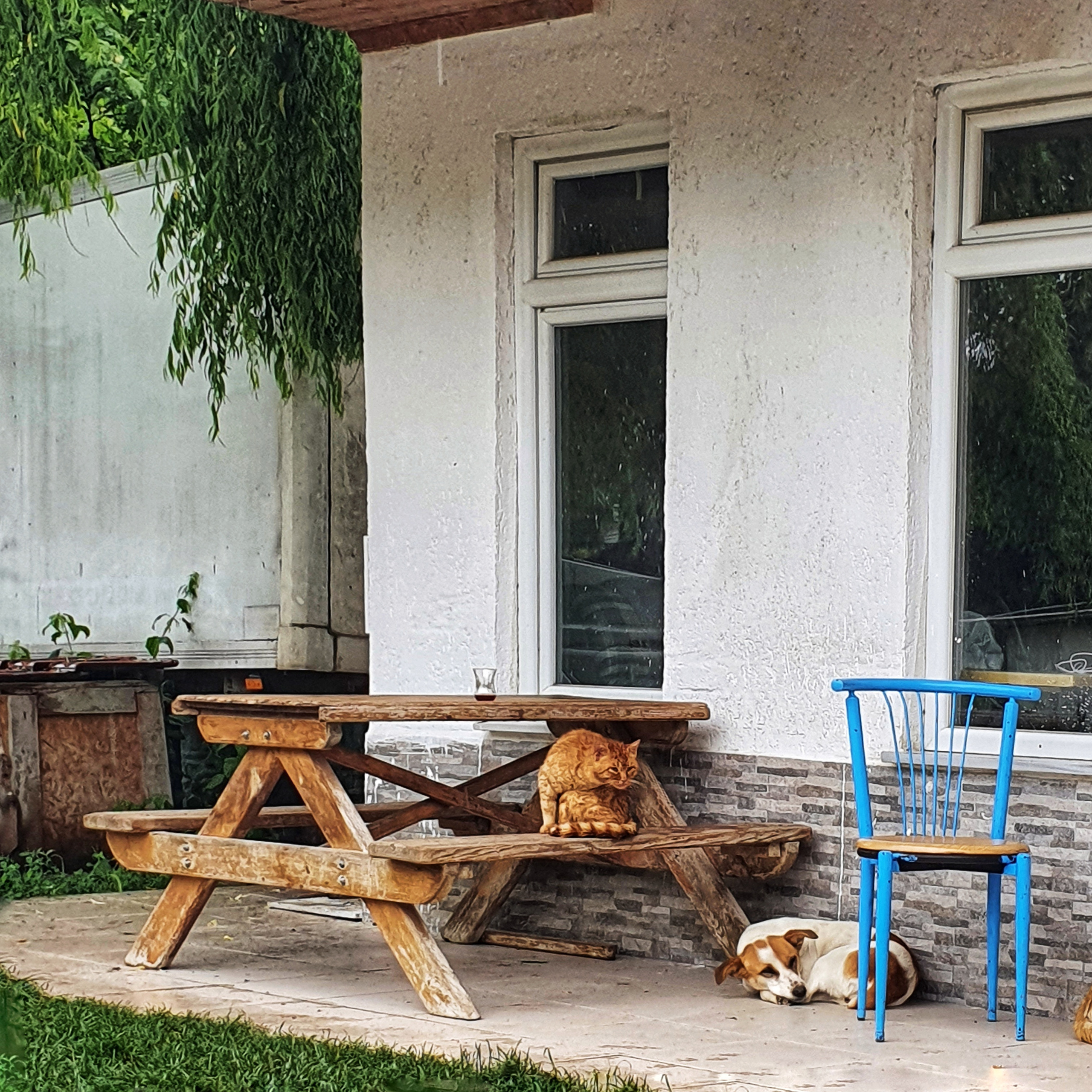 Street фото. Consultation on printing in various magazines, illustrations for books