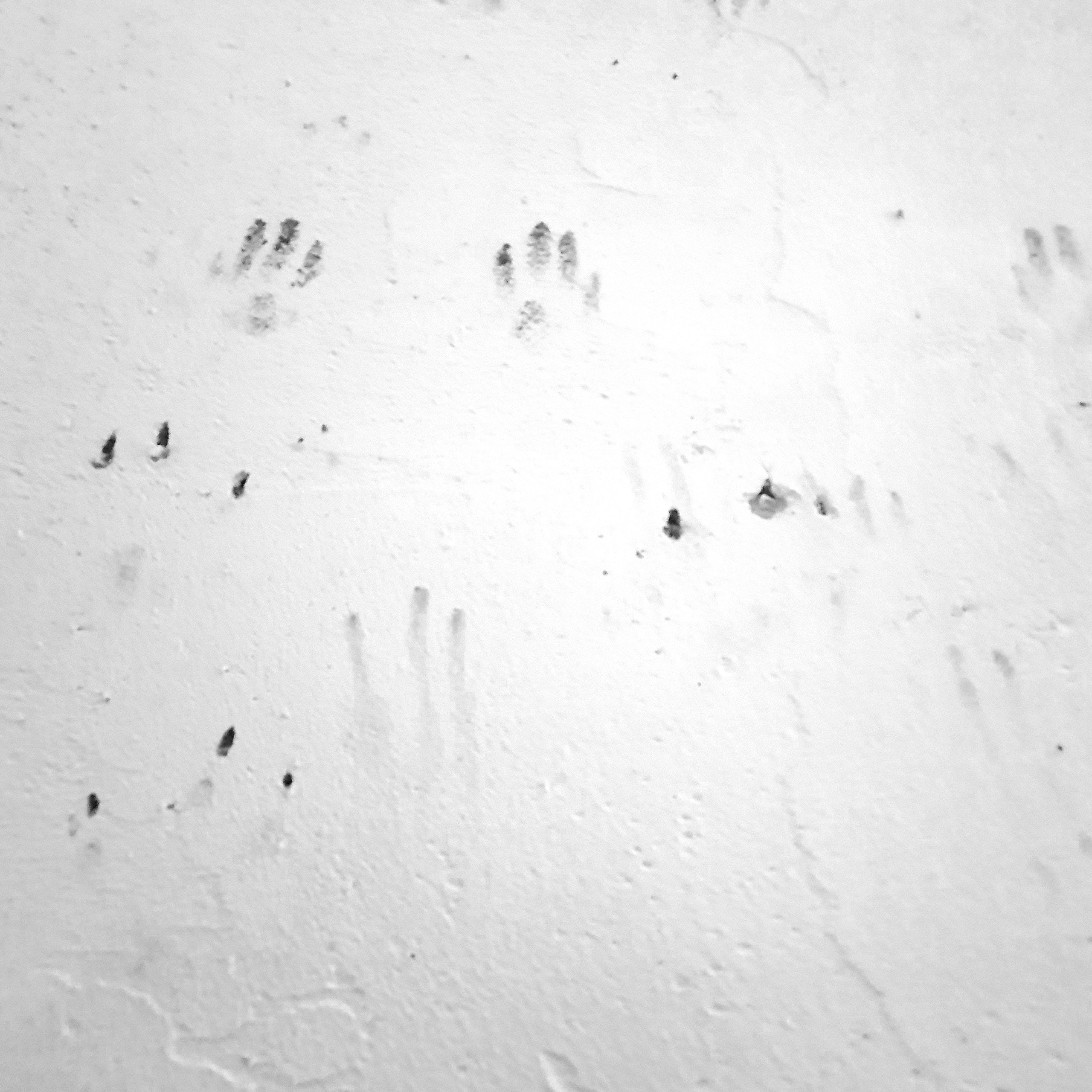 Street фото. Consultation on printing in various magazines, illustrations for books