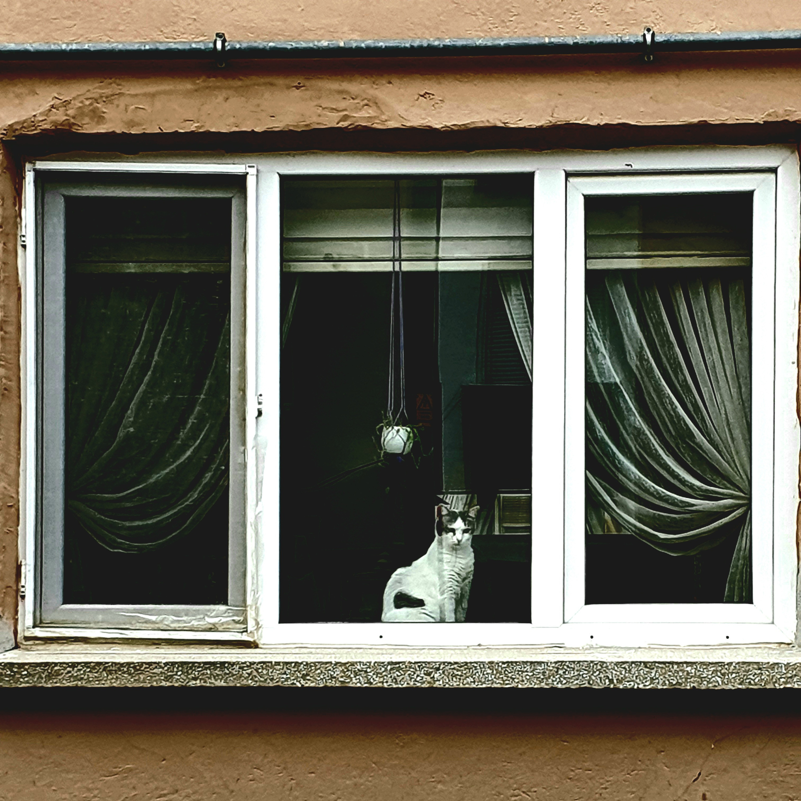 Street фото. Consultation on printing in various magazines, illustrations for books