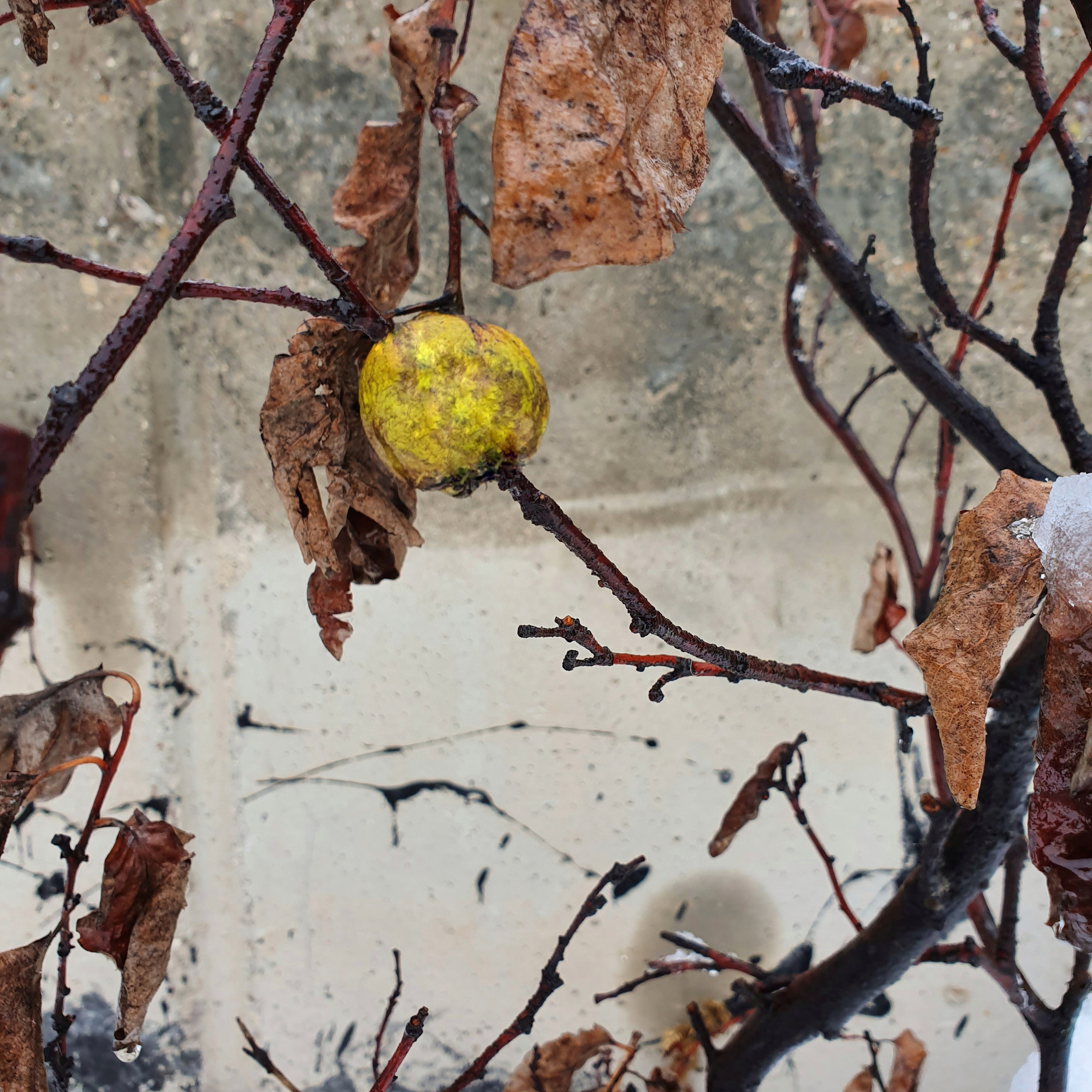 Street фото. Consultation on printing in various magazines, illustrations for books