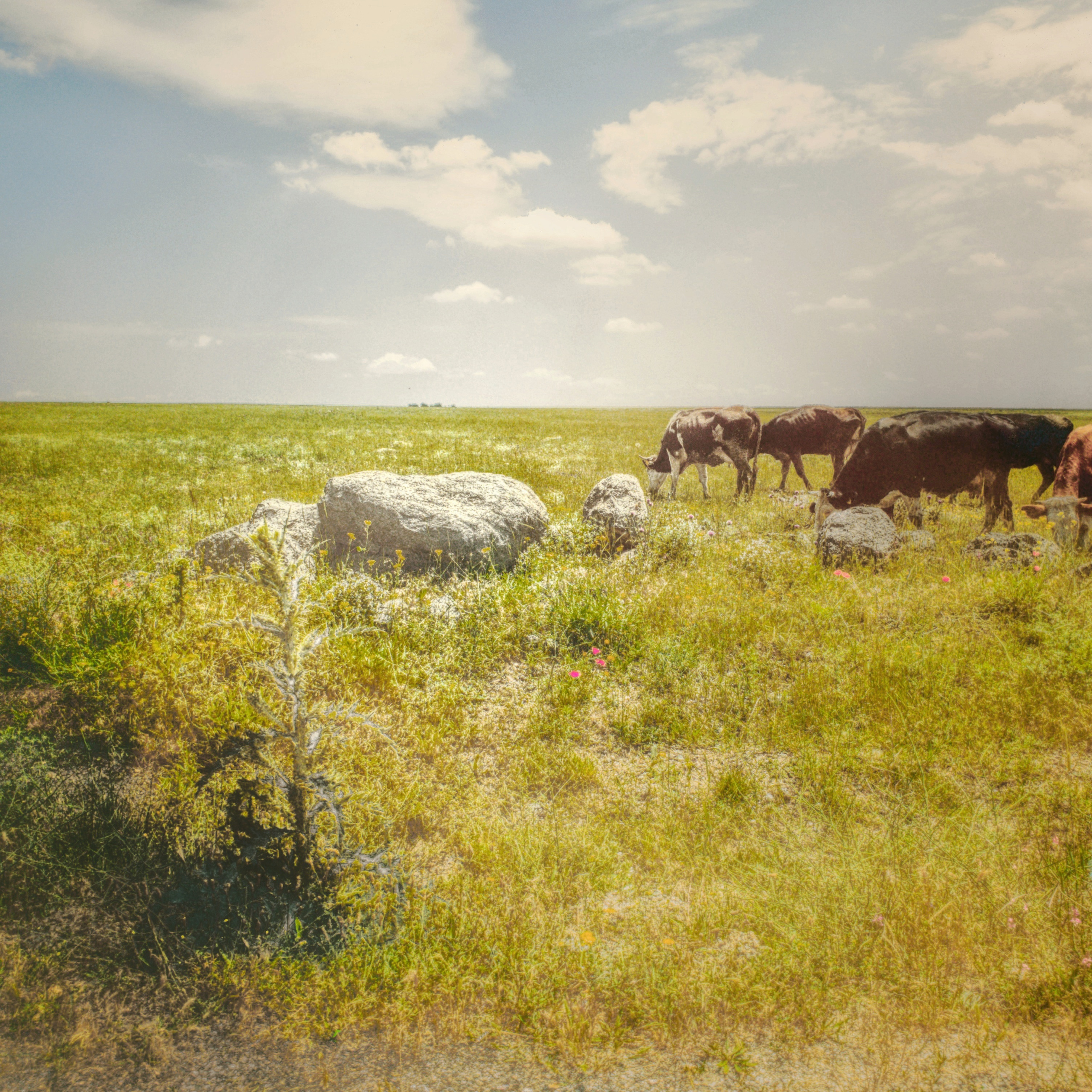 Street фото. Consultation on printing in various magazines, illustrations for books