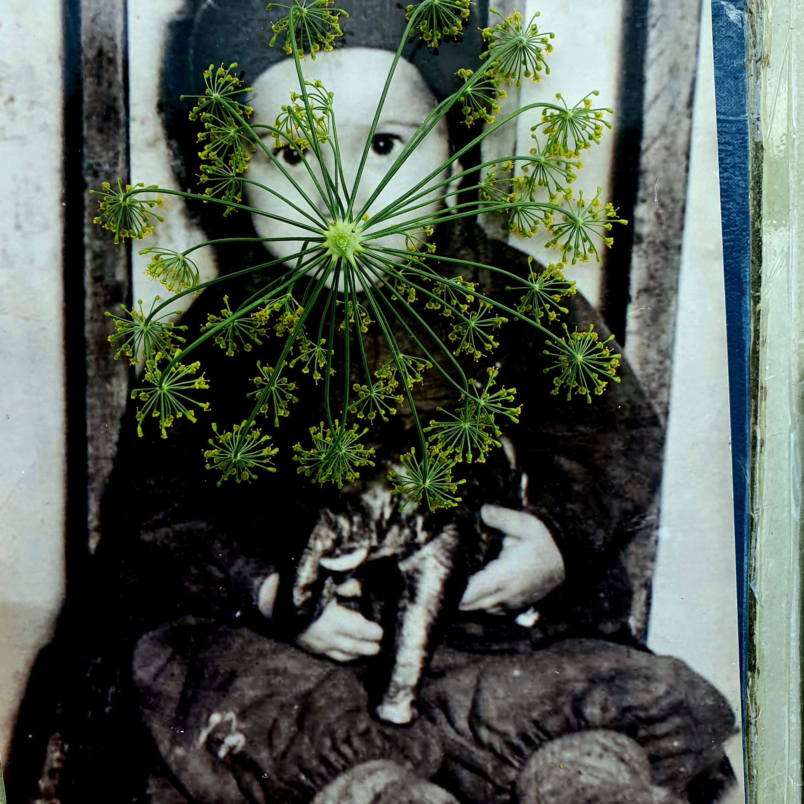 ФОТОПРОЕКТЫ. Современное искусство, глитч арт, glitch art