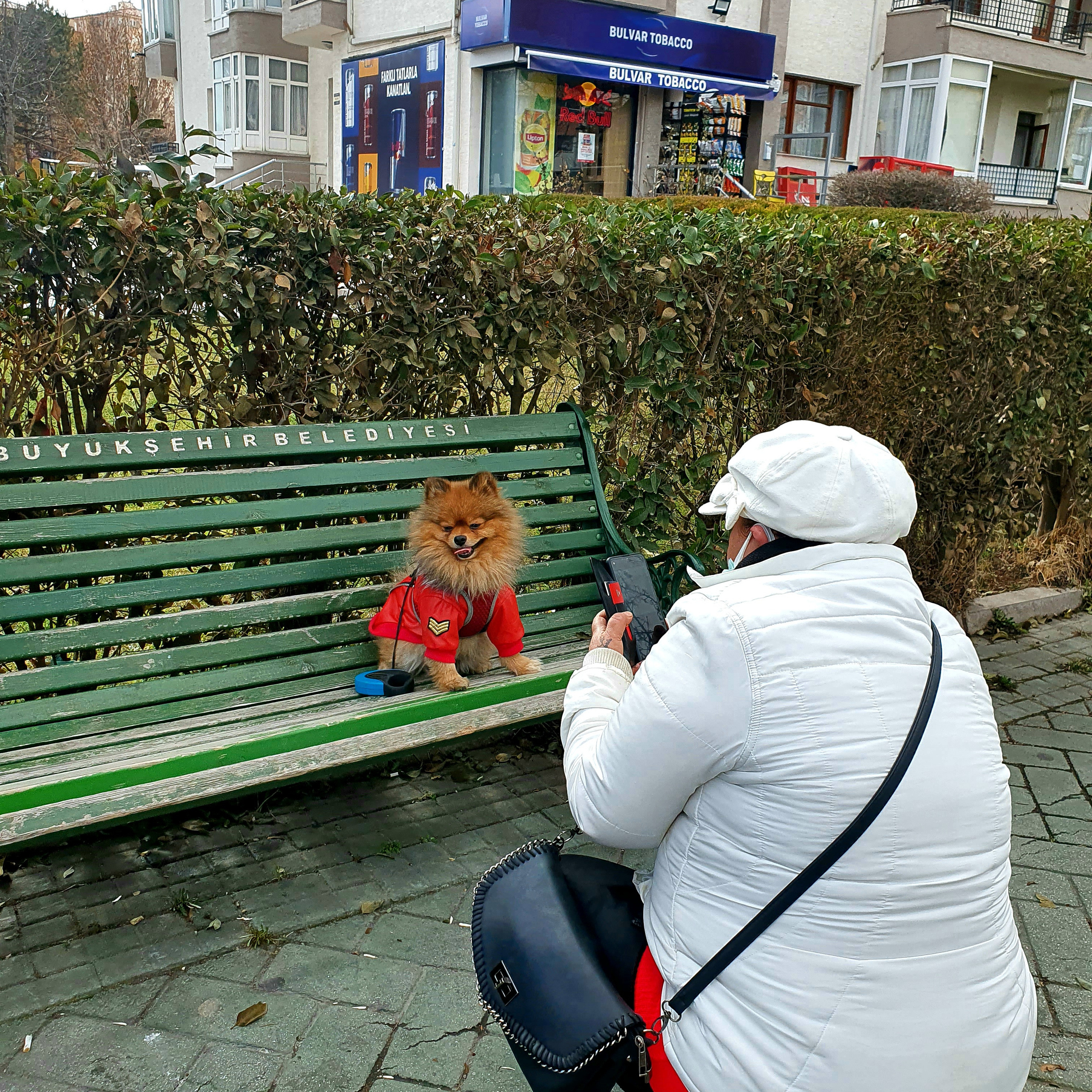 Street фото. Consultation on printing in various magazines, illustrations for books