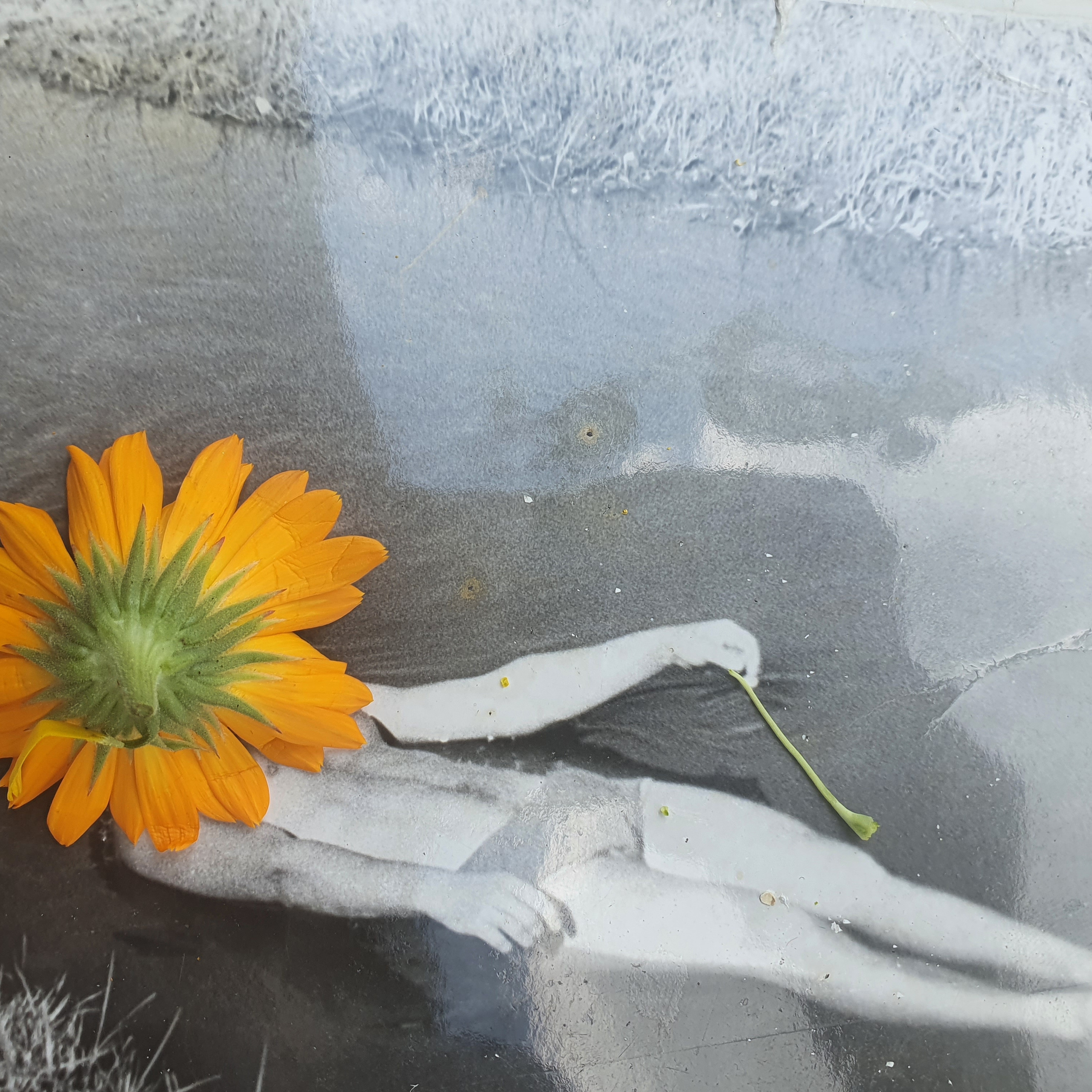 ФОТОПРОЕКТЫ. Современное искусство, глитч арт, glitch art