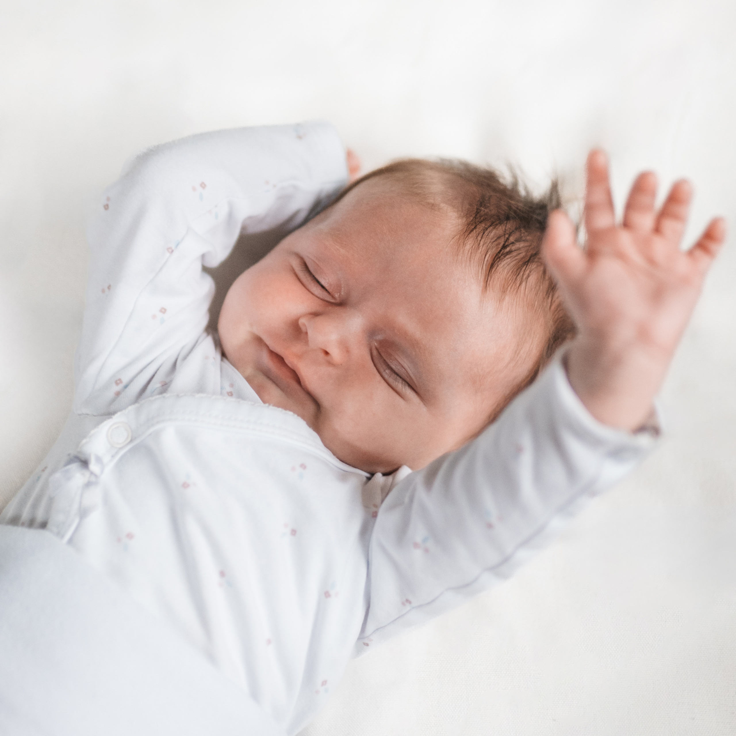 Feedbacks. Elena Seewald