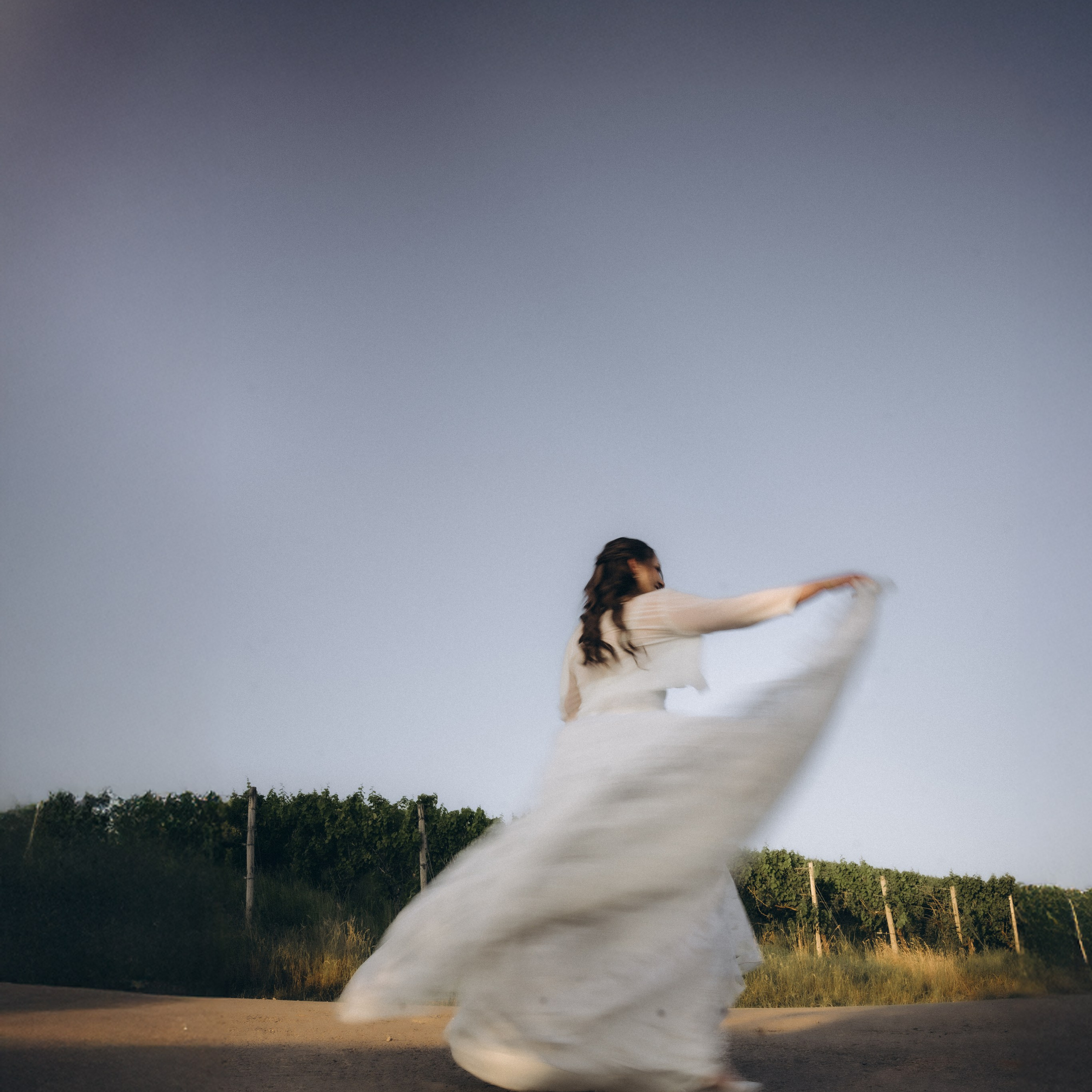 Feedbacks. Elena Seewald