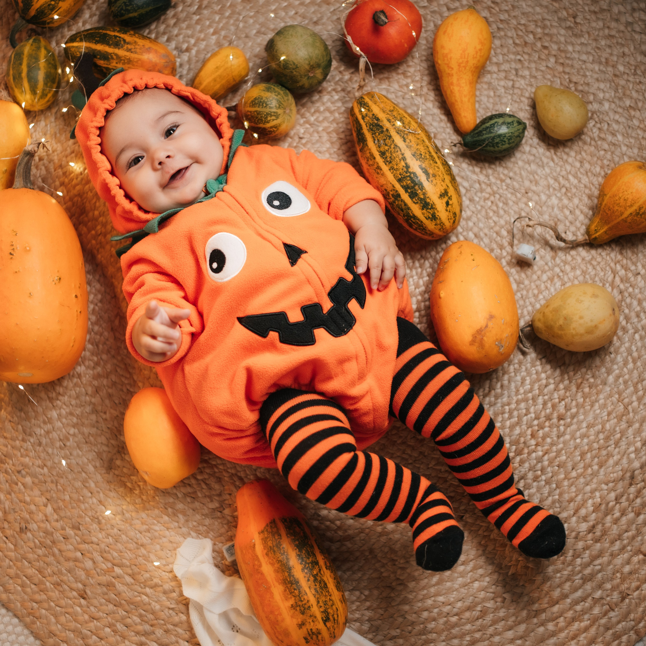 Feedbacks. Elena Seewald