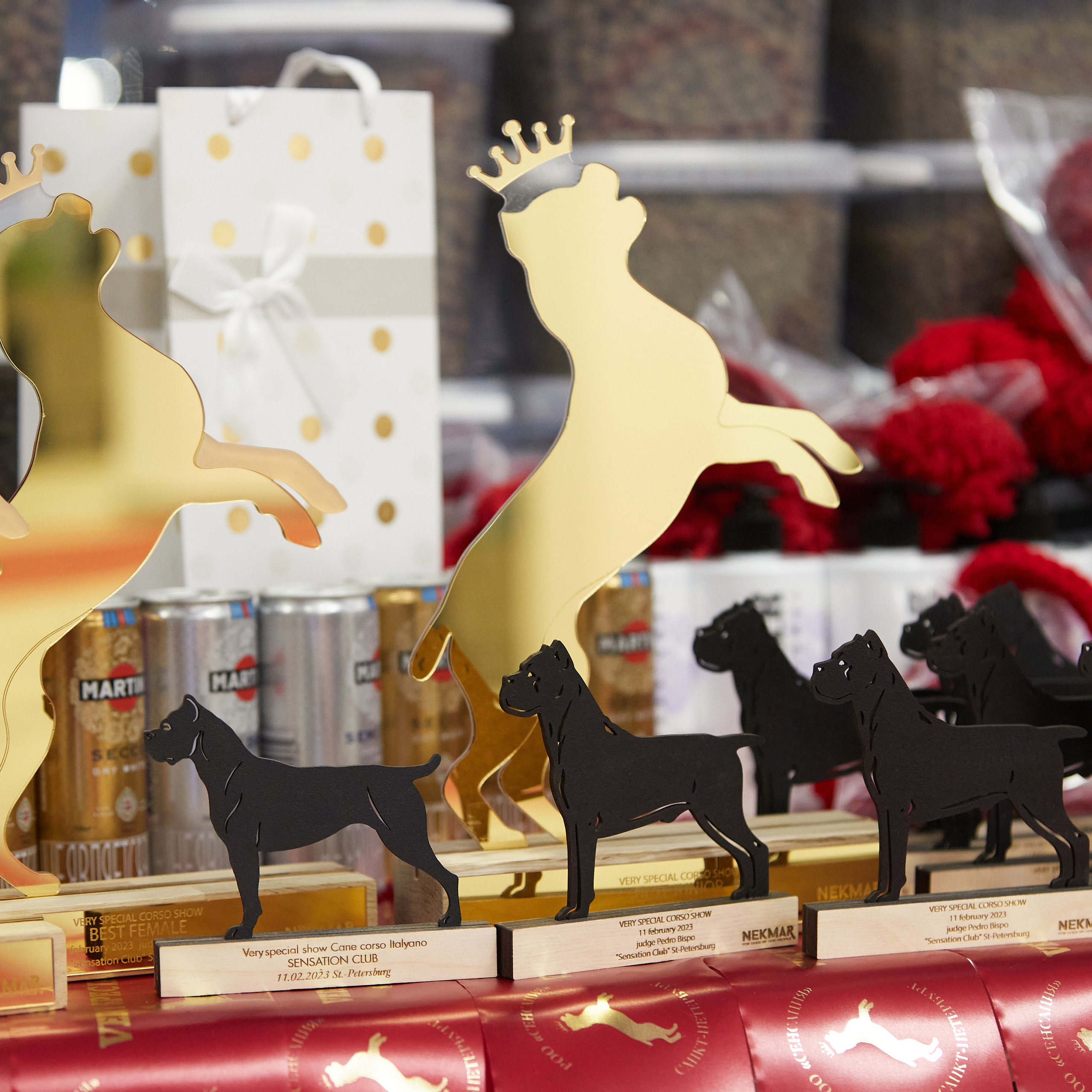 11.02.23 ВЫСТАВКА СОБАК ВСЕХ ПОРОД (CAC, ЧФ) «СЕНСАЦИЯ-2023». Кинологический клуб РКФ РФСС СЕНСАЦИЯ