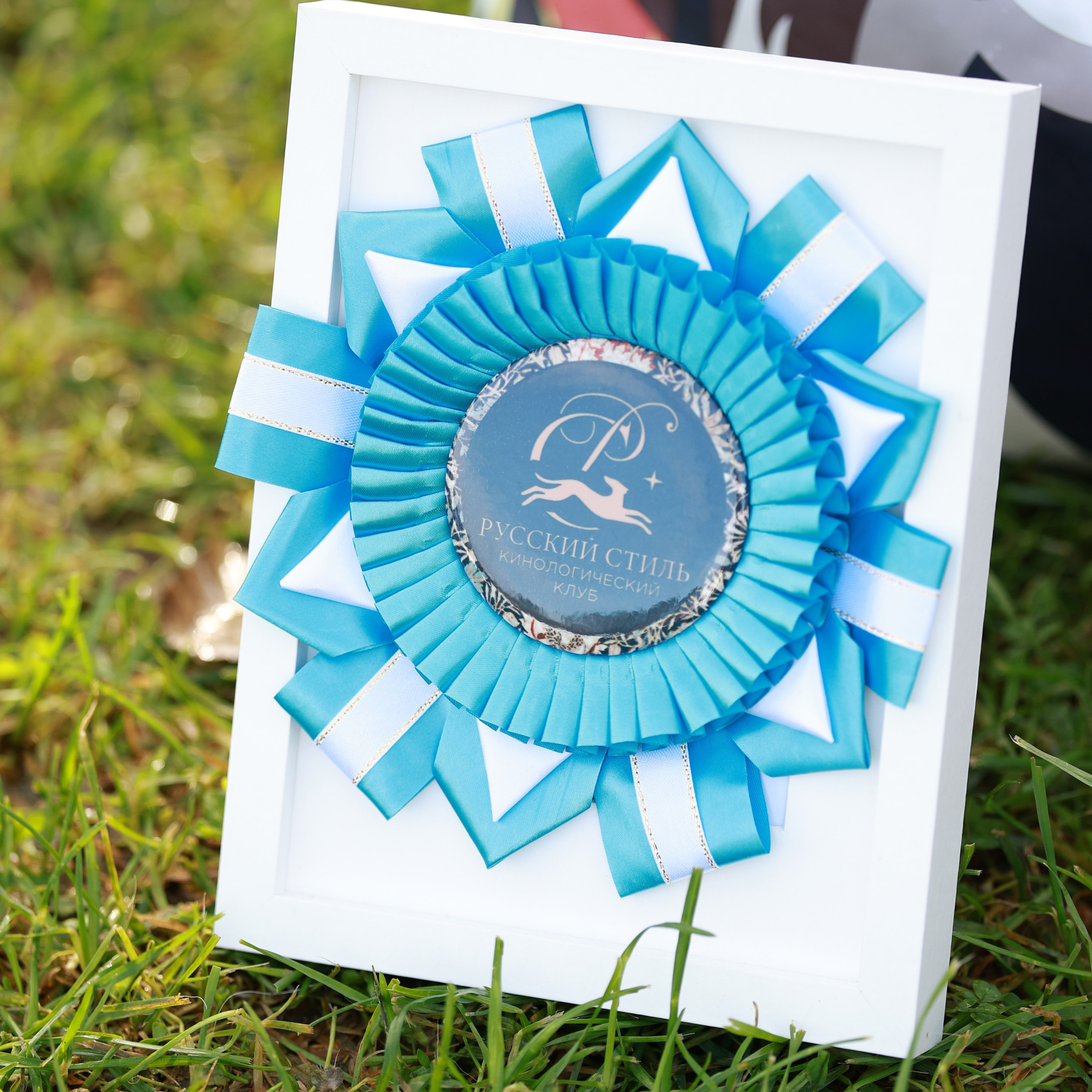 27-28.09.2025 ВЫСТАВКИ СОБАК ВСЕХ ПОРОД (САС, ЧРКФ, ЧФ). Кинологический клуб РКФ РФСС СЕНСАЦИЯ