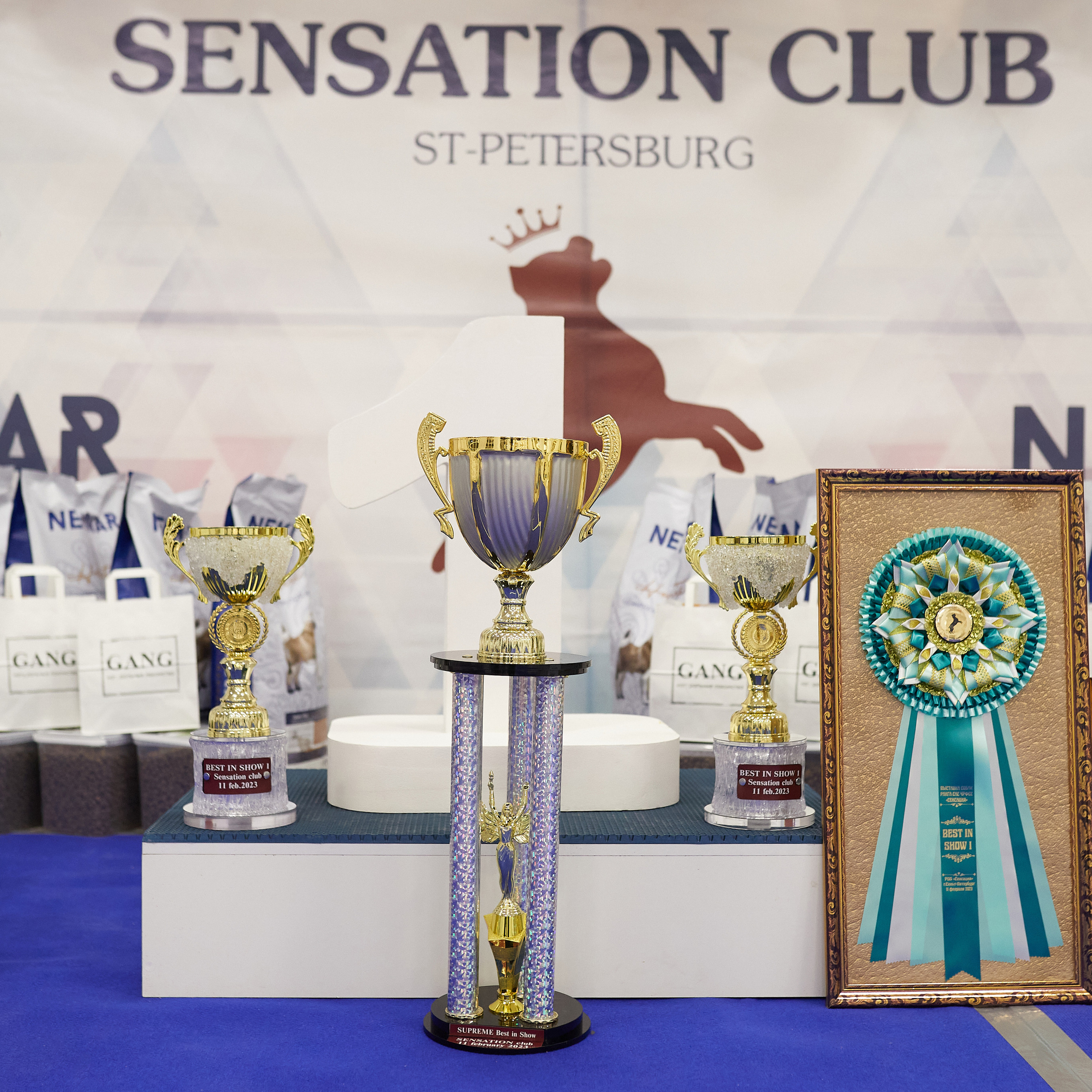 11.02.23 ВЫСТАВКА СОБАК ВСЕХ ПОРОД (CAC, ЧФ) «СЕНСАЦИЯ-2023». Кинологический клуб РКФ РФСС СЕНСАЦИЯ