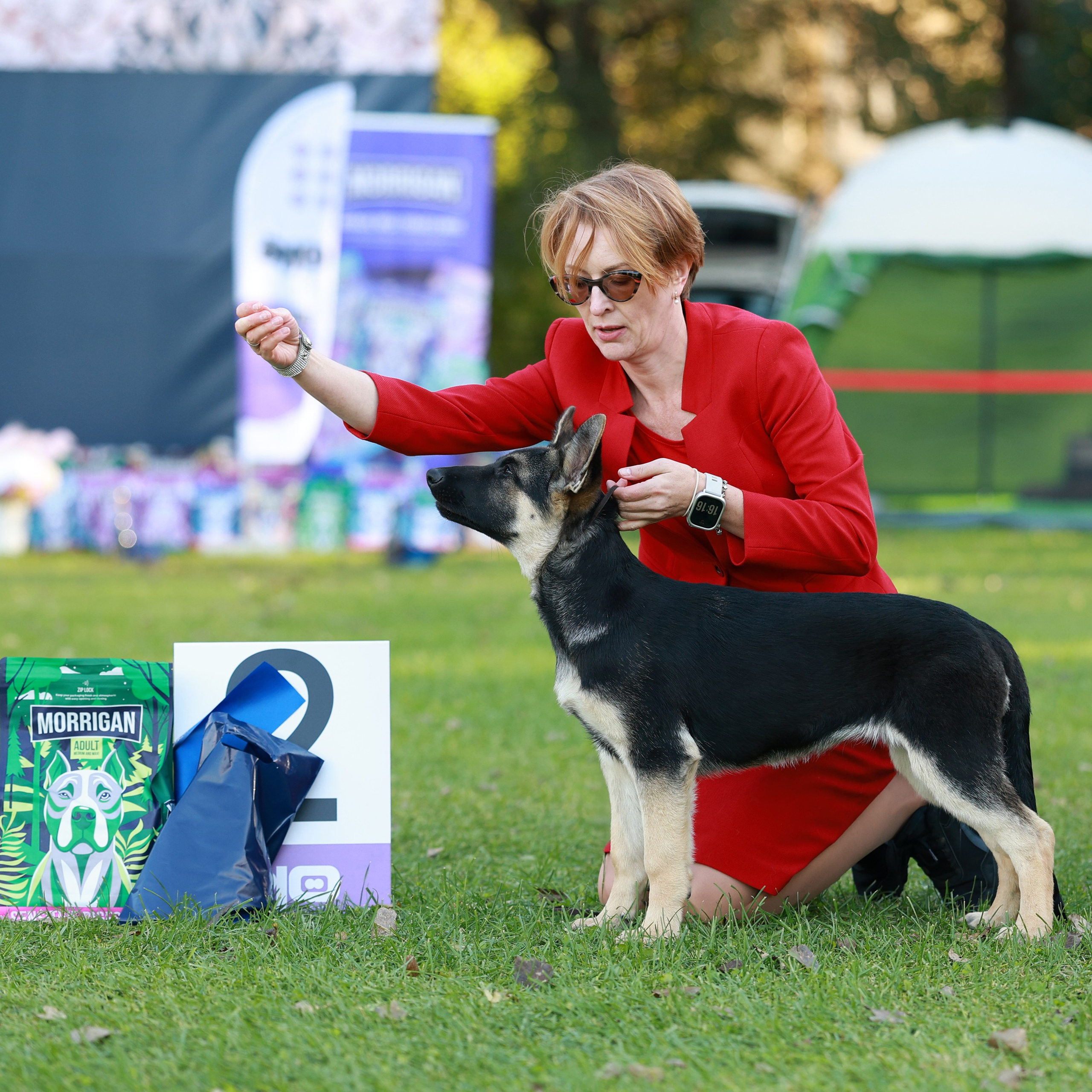 27-28.09.2025 ВЫСТАВКИ СОБАК ВСЕХ ПОРОД (САС, ЧРКФ, ЧФ). Кинологический клуб РКФ РФСС СЕНСАЦИЯ