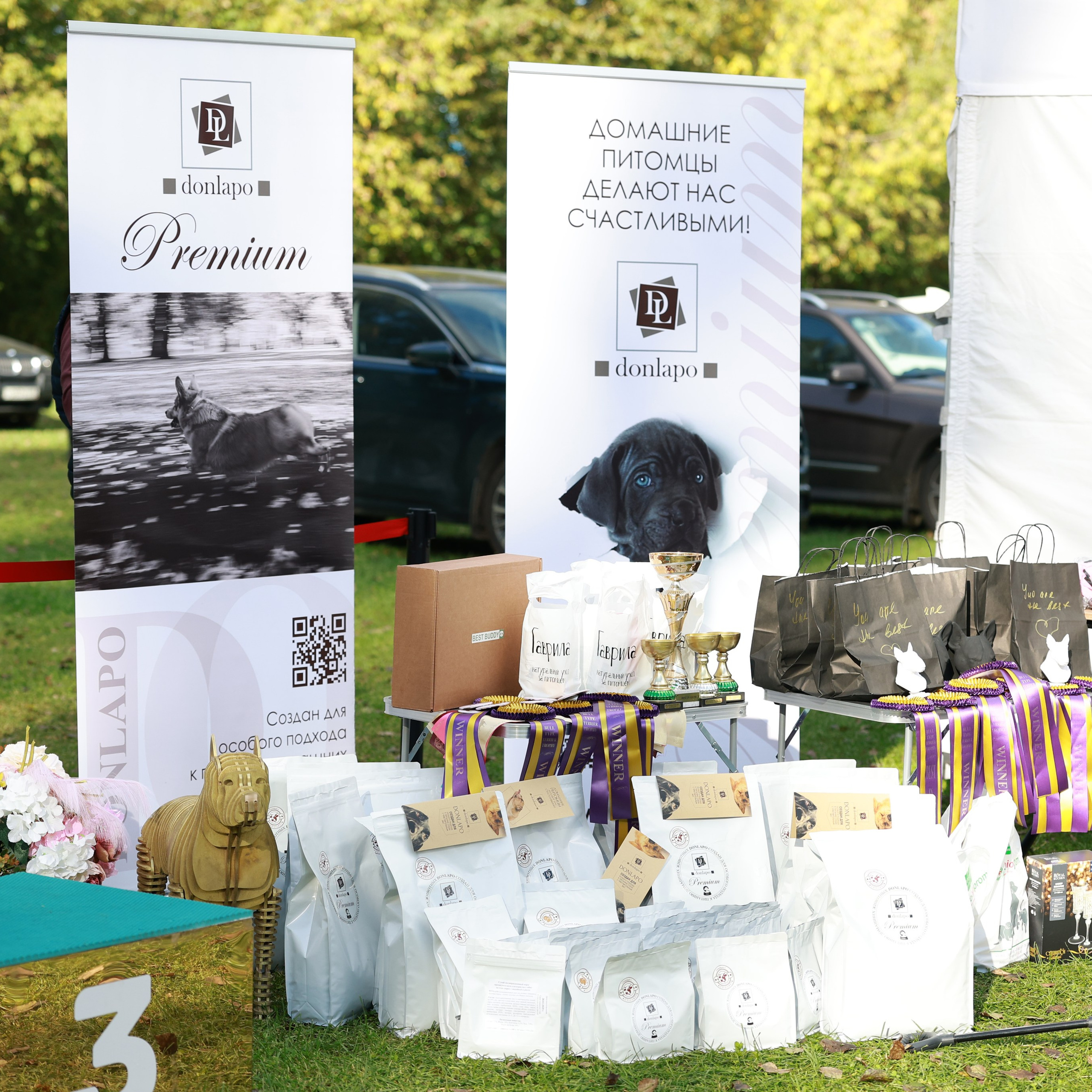 27-28.09.2025 ВЫСТАВКИ СОБАК ВСЕХ ПОРОД (САС, ЧРКФ, ЧФ). Кинологический клуб РКФ РФСС СЕНСАЦИЯ