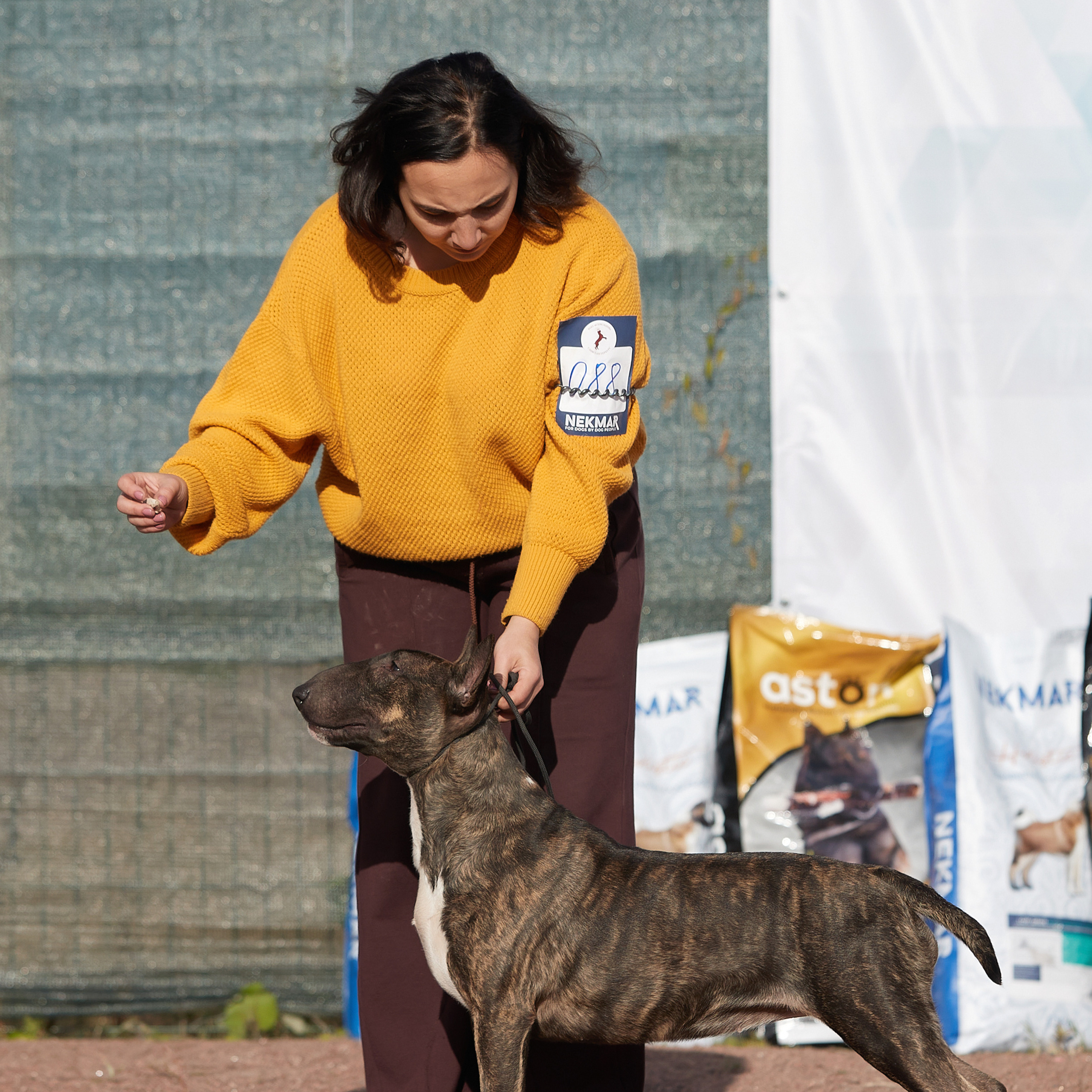 18.09.22 ВЫСТАВКА СОБАК ВСЕХ ПОРОД (CAC, ЧФ) «СЕНСАЦИЯ-2022». Кинологический клуб РКФ РФСС СЕНСАЦИЯ