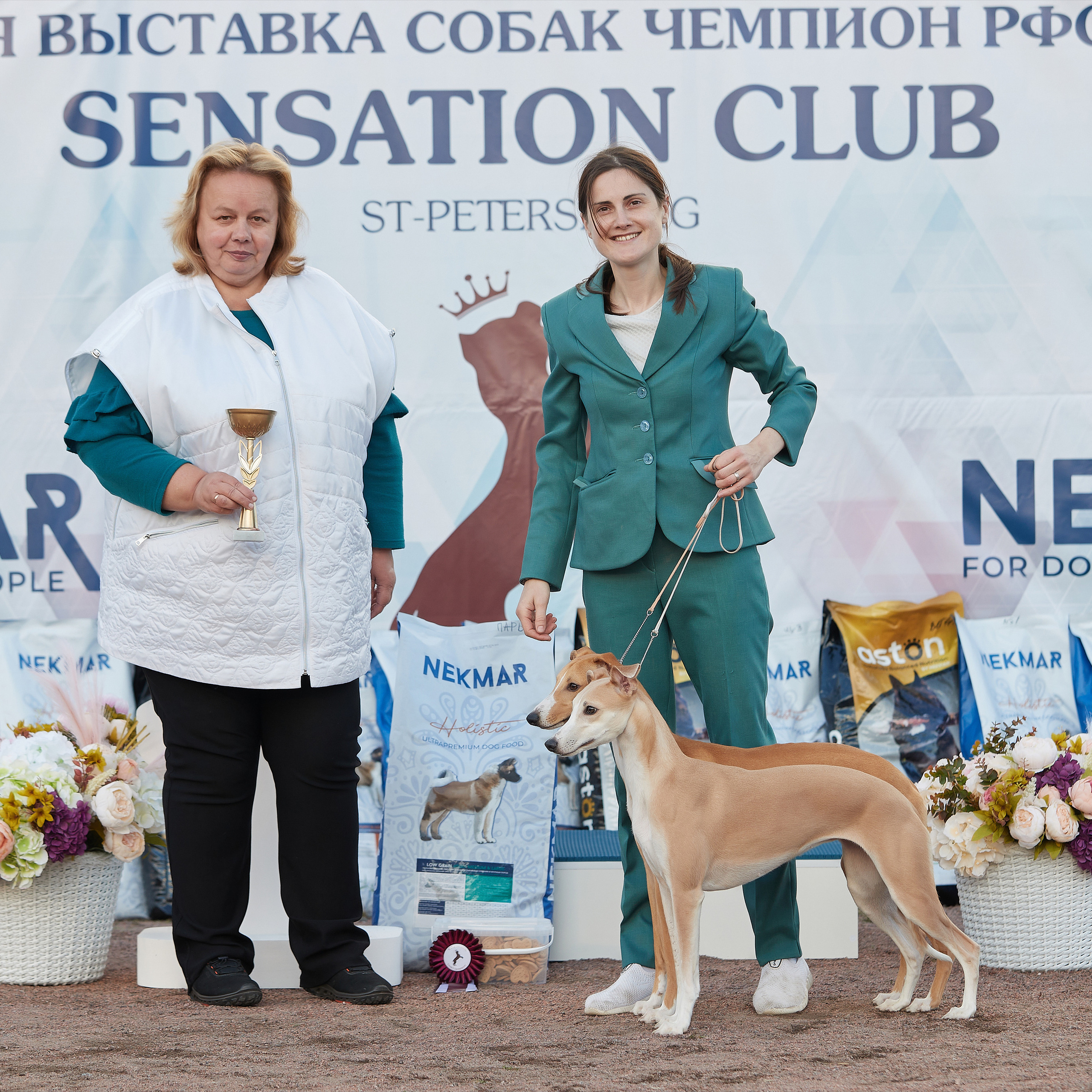 18.09.22 ВЫСТАВКА СОБАК ВСЕХ ПОРОД (CAC, ЧФ) «СЕНСАЦИЯ-2022». Кинологический клуб РКФ РФСС СЕНСАЦИЯ