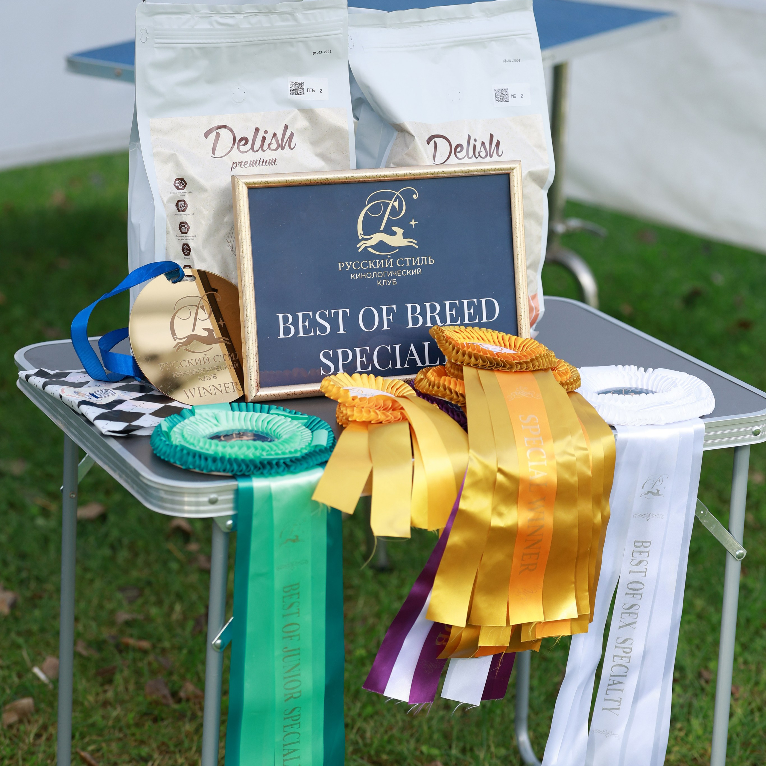 27-28.09.2025 ВЫСТАВКИ СОБАК ВСЕХ ПОРОД (САС, ЧРКФ, ЧФ). Кинологический клуб РКФ РФСС СЕНСАЦИЯ