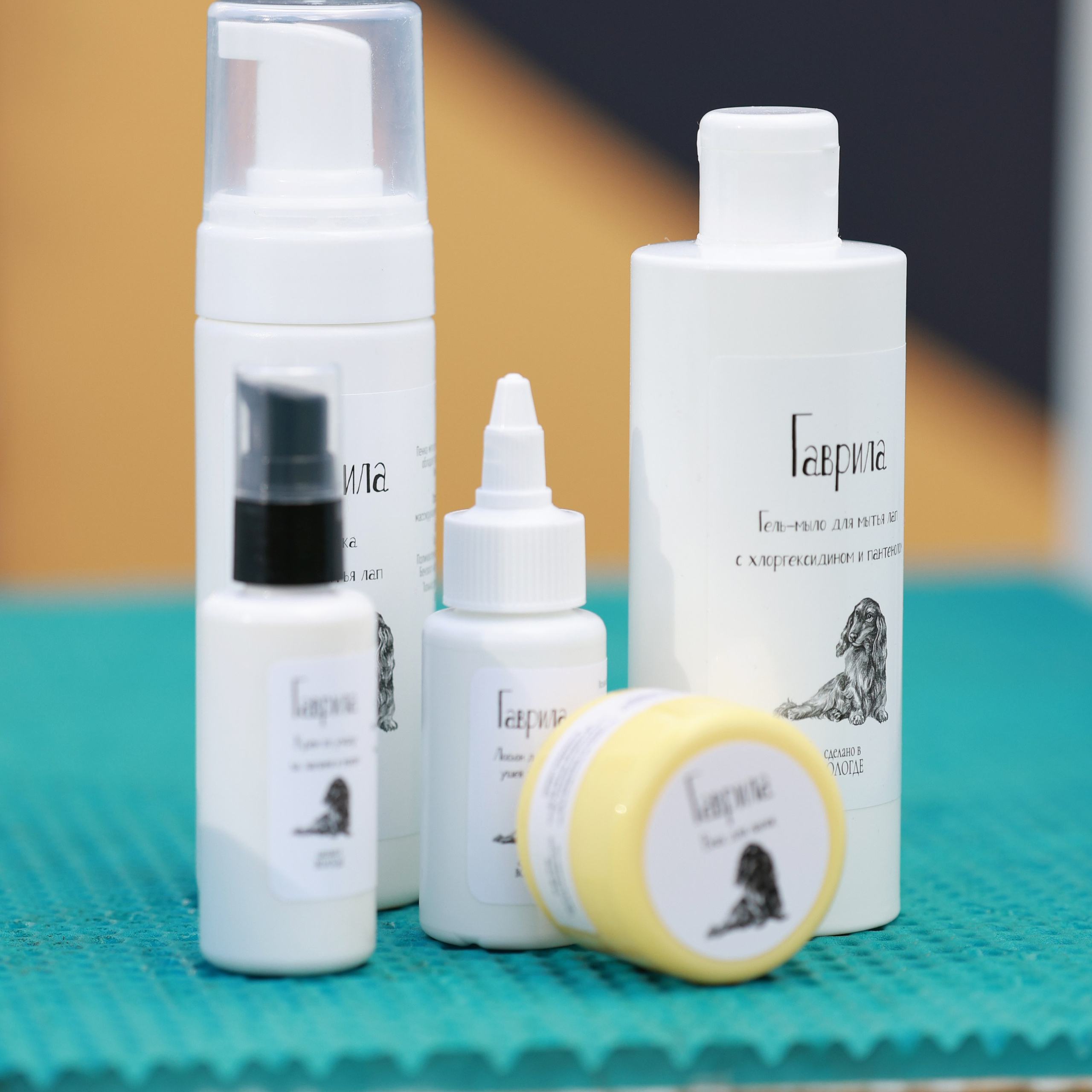 27-28.09.2025 ВЫСТАВКИ СОБАК ВСЕХ ПОРОД (САС, ЧРКФ, ЧФ). Кинологический клуб РКФ РФСС СЕНСАЦИЯ