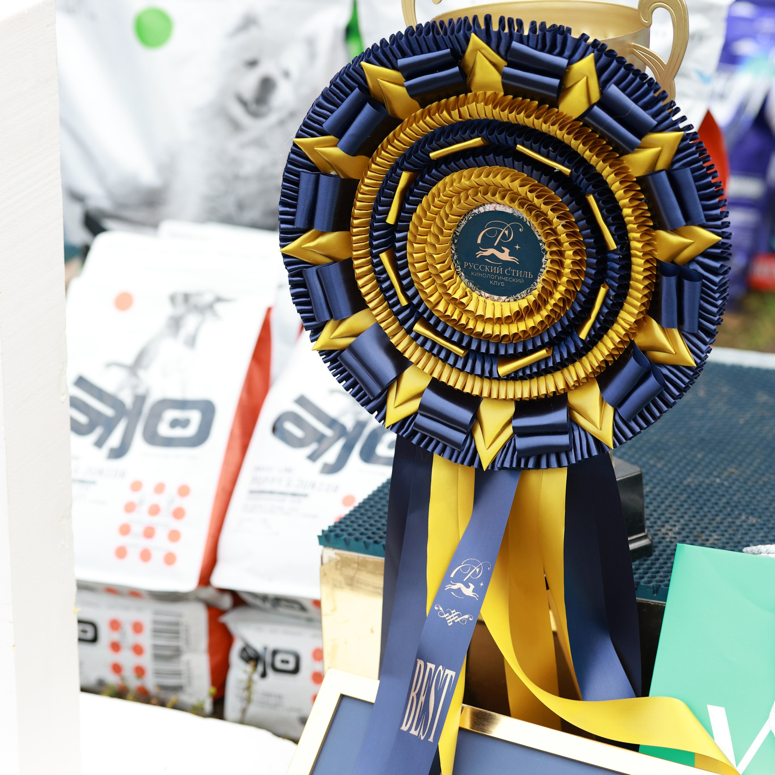 27-28.09.2025 ВЫСТАВКИ СОБАК ВСЕХ ПОРОД (САС, ЧРКФ, ЧФ). Кинологический клуб РКФ РФСС СЕНСАЦИЯ