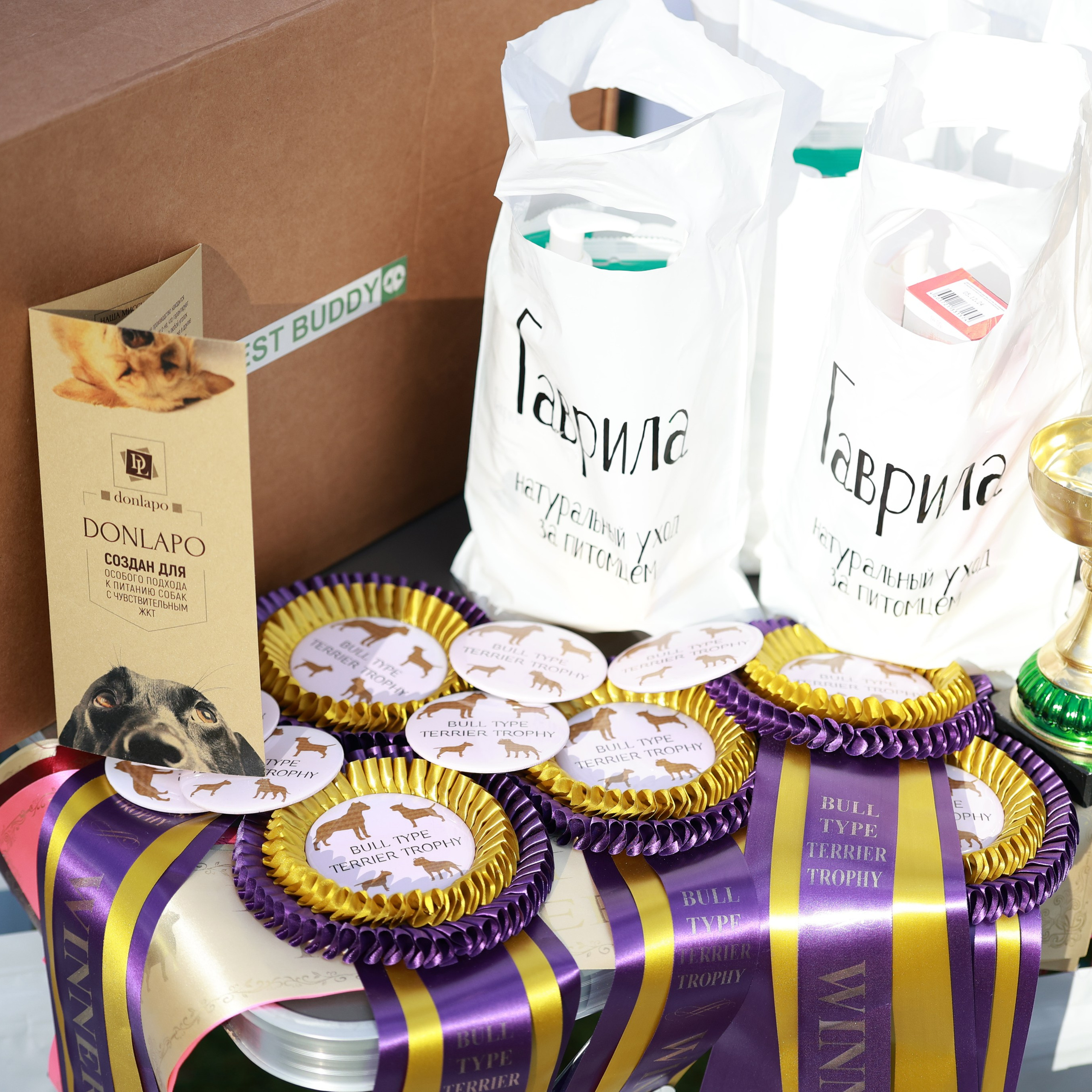 27-28.09.2025 ВЫСТАВКИ СОБАК ВСЕХ ПОРОД (САС, ЧРКФ, ЧФ). Кинологический клуб РКФ РФСС СЕНСАЦИЯ