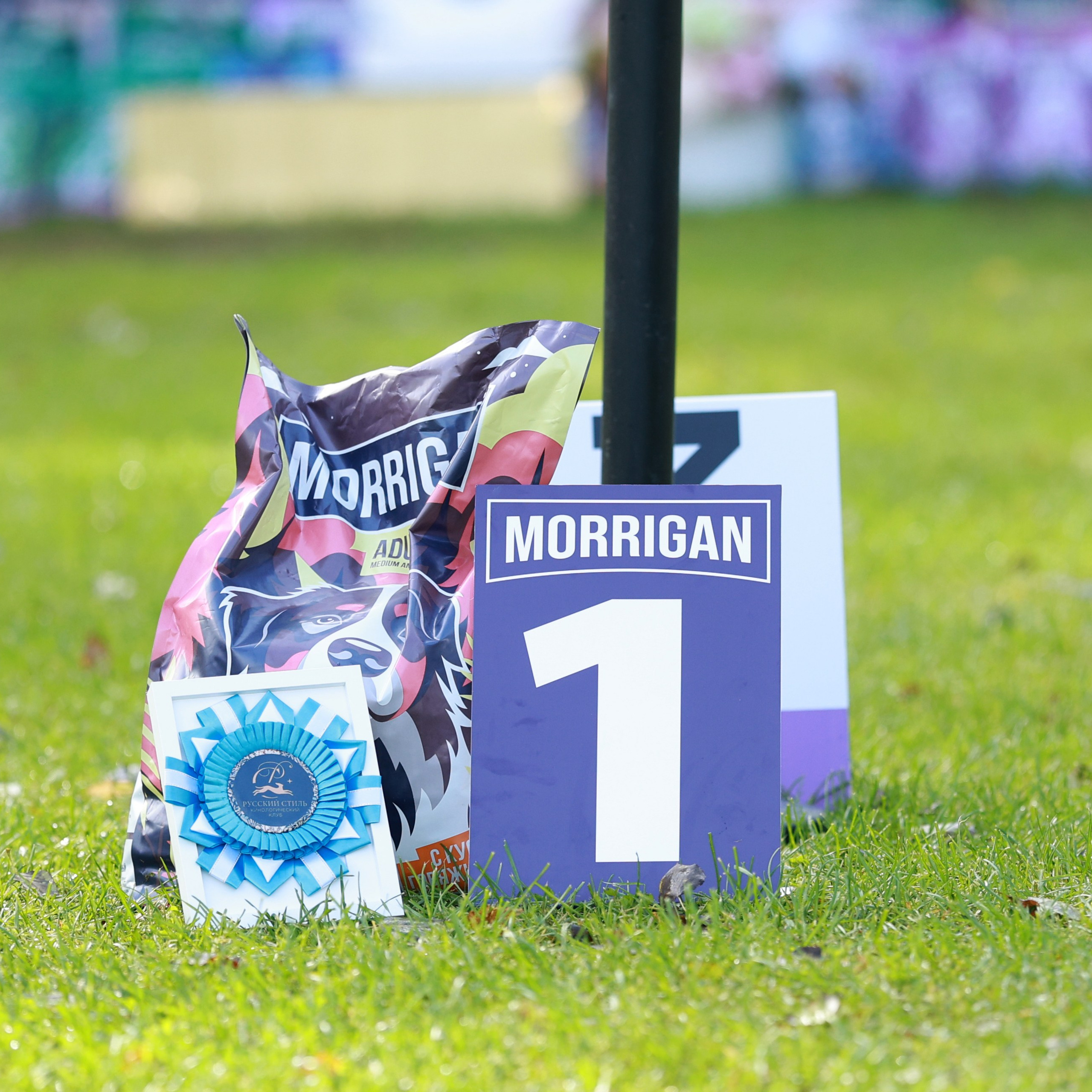 27-28.09.2025 ВЫСТАВКИ СОБАК ВСЕХ ПОРОД (САС, ЧРКФ, ЧФ). Кинологический клуб РКФ РФСС СЕНСАЦИЯ