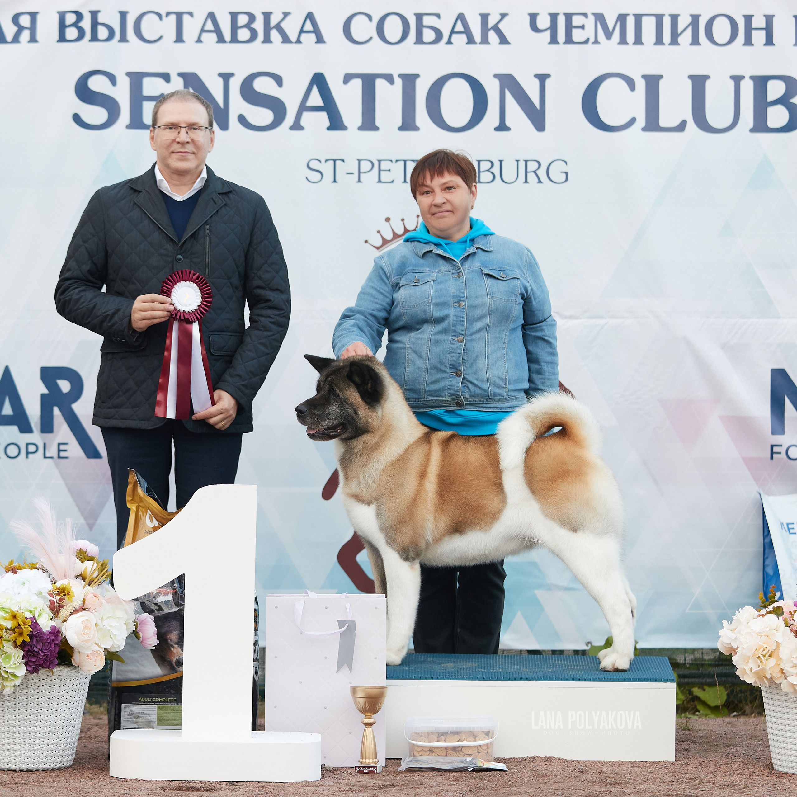 18.09.22 ВЫСТАВКА СОБАК ВСЕХ ПОРОД (CAC, ЧФ) «СЕНСАЦИЯ-2022». Кинологический клуб РКФ РФСС СЕНСАЦИЯ