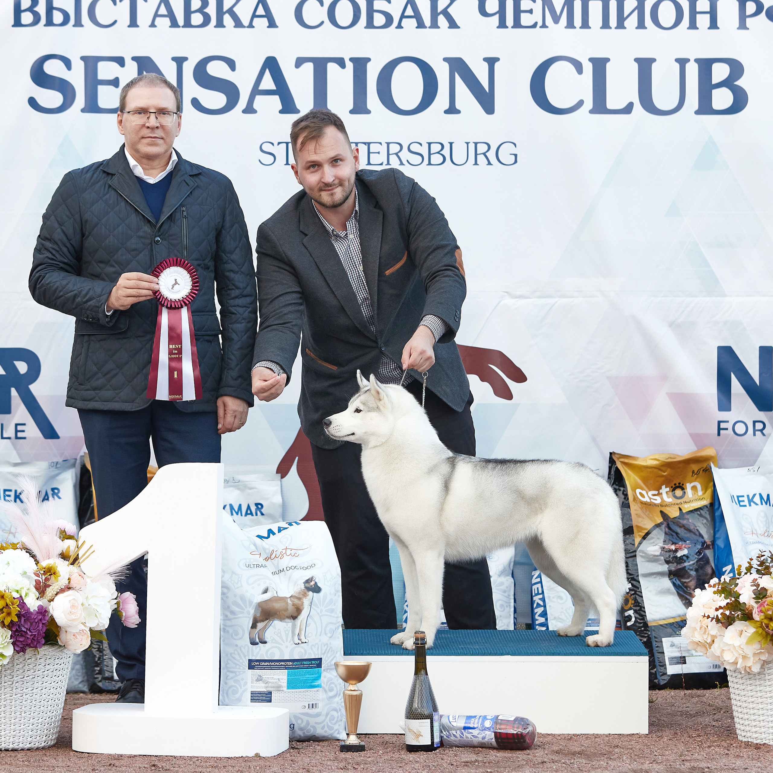 18.09.22 ВЫСТАВКА СОБАК ВСЕХ ПОРОД (CAC, ЧФ) «СЕНСАЦИЯ-2022». Кинологический клуб РКФ РФСС СЕНСАЦИЯ