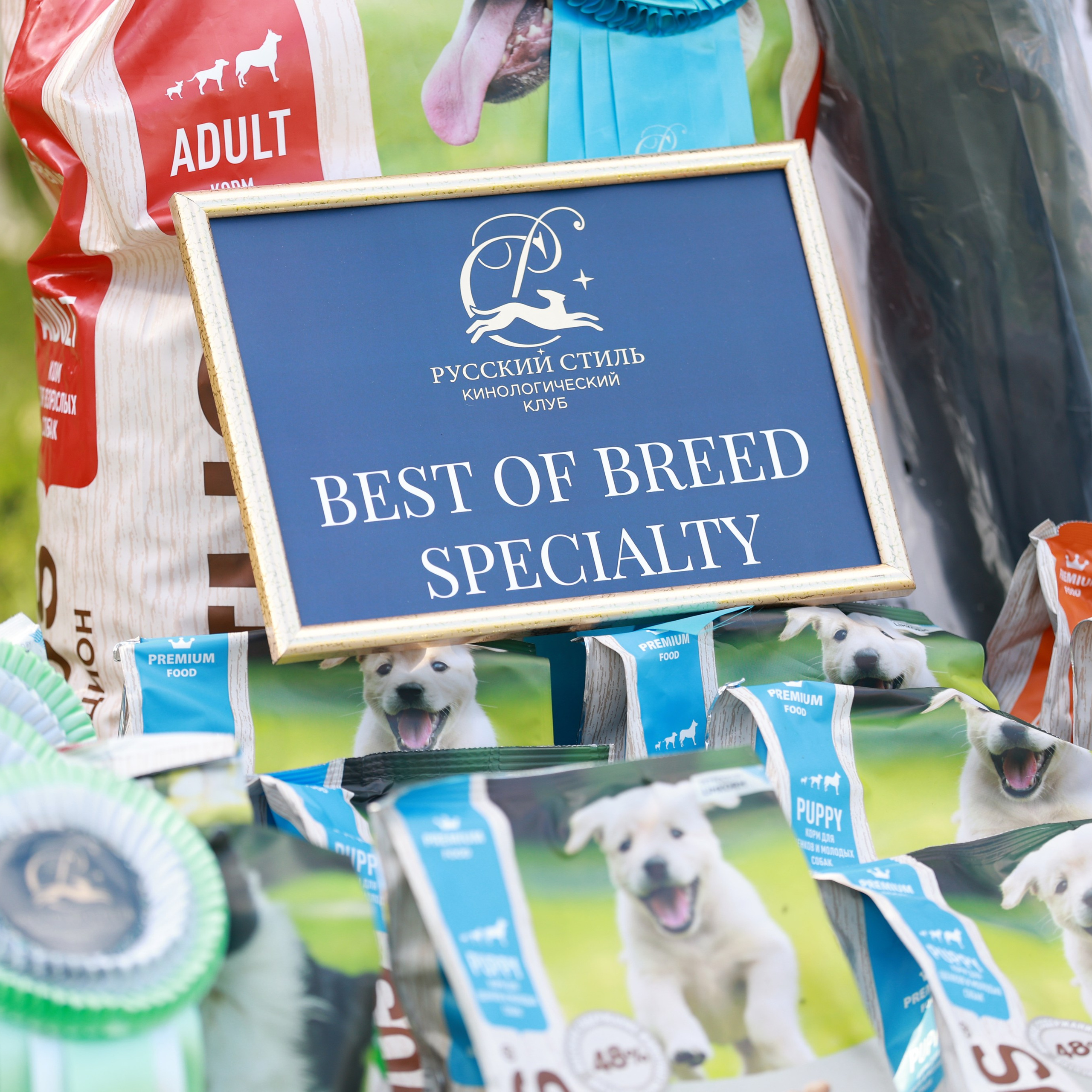 27-28.09.2025 ВЫСТАВКИ СОБАК ВСЕХ ПОРОД (САС, ЧРКФ, ЧФ). Кинологический клуб РКФ РФСС СЕНСАЦИЯ