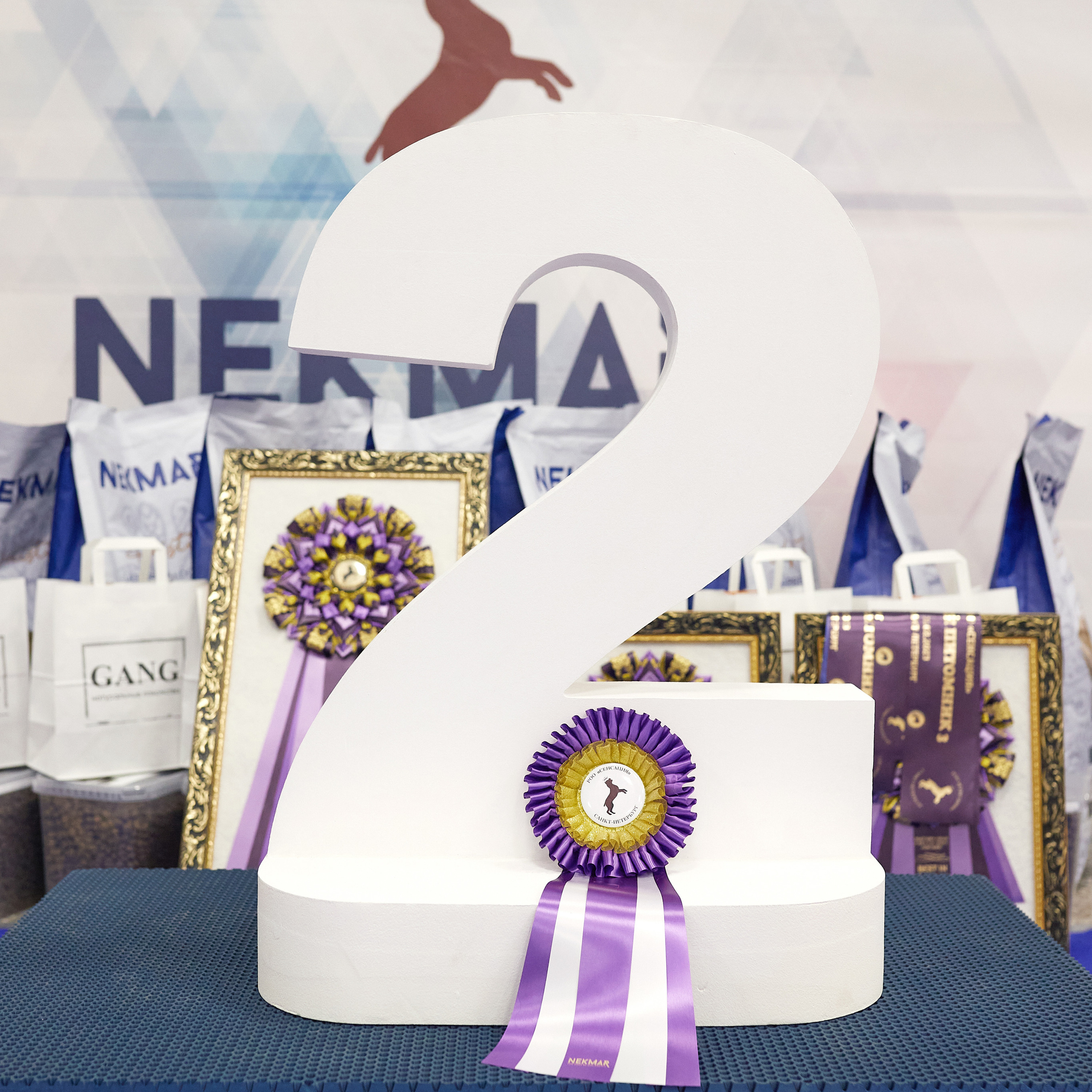 11.02.23 ВЫСТАВКА СОБАК ВСЕХ ПОРОД (CAC, ЧФ) «СЕНСАЦИЯ-2023». Кинологический клуб РКФ РФСС СЕНСАЦИЯ