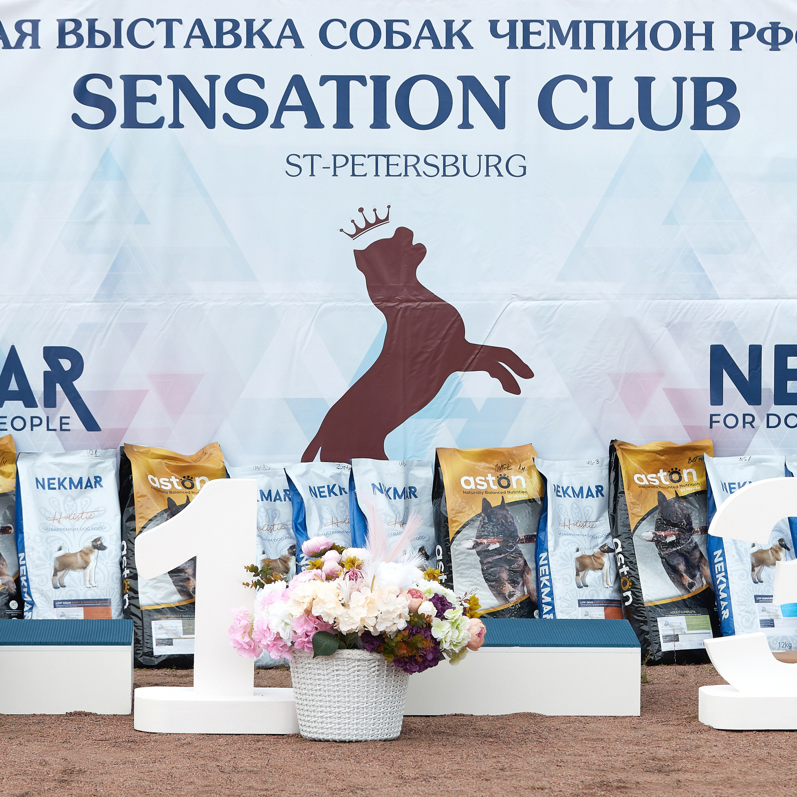 18.09.22 ВЫСТАВКА СОБАК ВСЕХ ПОРОД (CAC, ЧФ) «СЕНСАЦИЯ-2022». Кинологический клуб РКФ РФСС СЕНСАЦИЯ