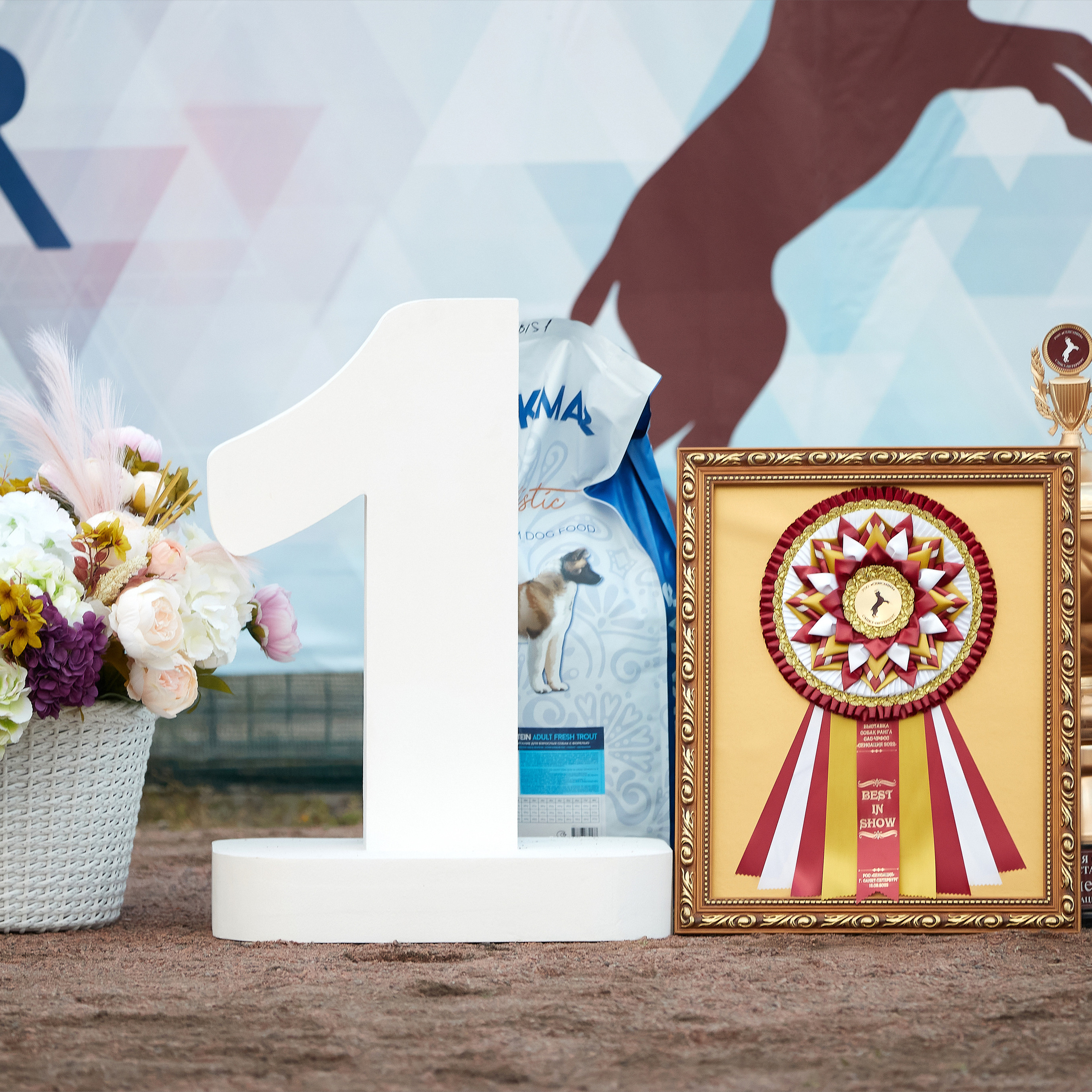 18.09.22 ВЫСТАВКА СОБАК ВСЕХ ПОРОД (CAC, ЧФ) «СЕНСАЦИЯ-2022». Кинологический клуб РКФ РФСС СЕНСАЦИЯ