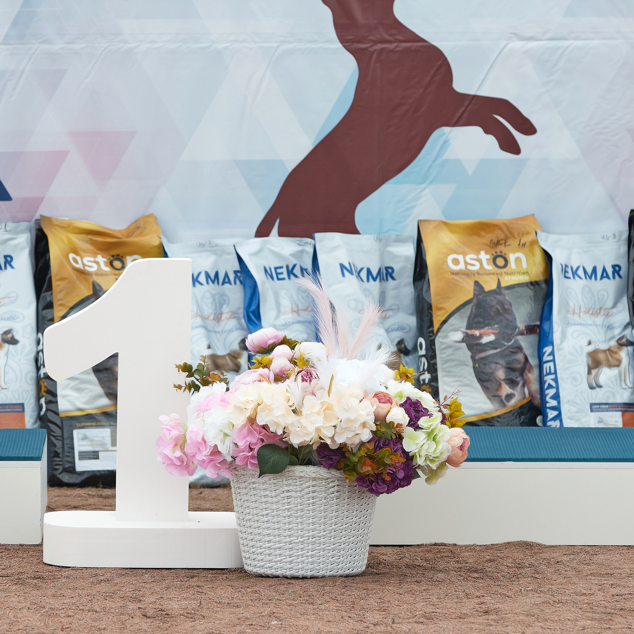 18.09.22 ВЫСТАВКА СОБАК ВСЕХ ПОРОД (CAC, ЧФ) «СЕНСАЦИЯ-2022». Кинологический клуб РКФ РФСС СЕНСАЦИЯ