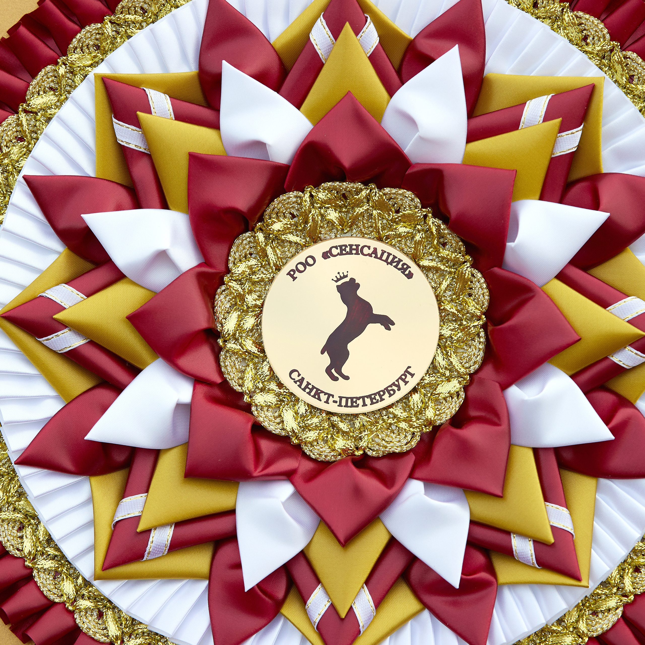 18.09.22 ВЫСТАВКА СОБАК ВСЕХ ПОРОД (CAC, ЧФ) «СЕНСАЦИЯ-2022». Кинологический клуб РКФ РФСС СЕНСАЦИЯ