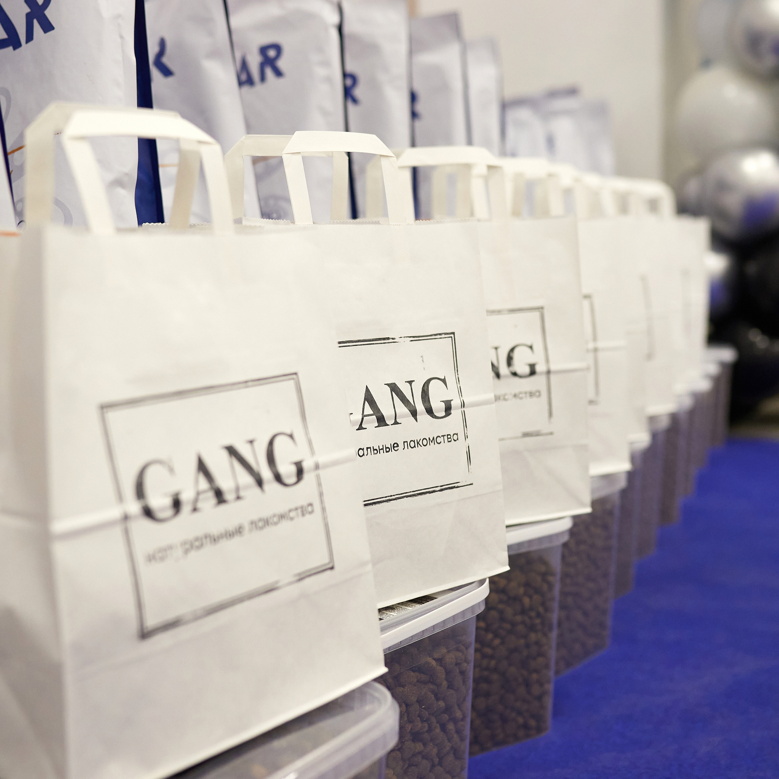 11.02.23 ВЫСТАВКА СОБАК ВСЕХ ПОРОД (CAC, ЧФ) «СЕНСАЦИЯ-2023». Кинологический клуб РКФ РФСС СЕНСАЦИЯ