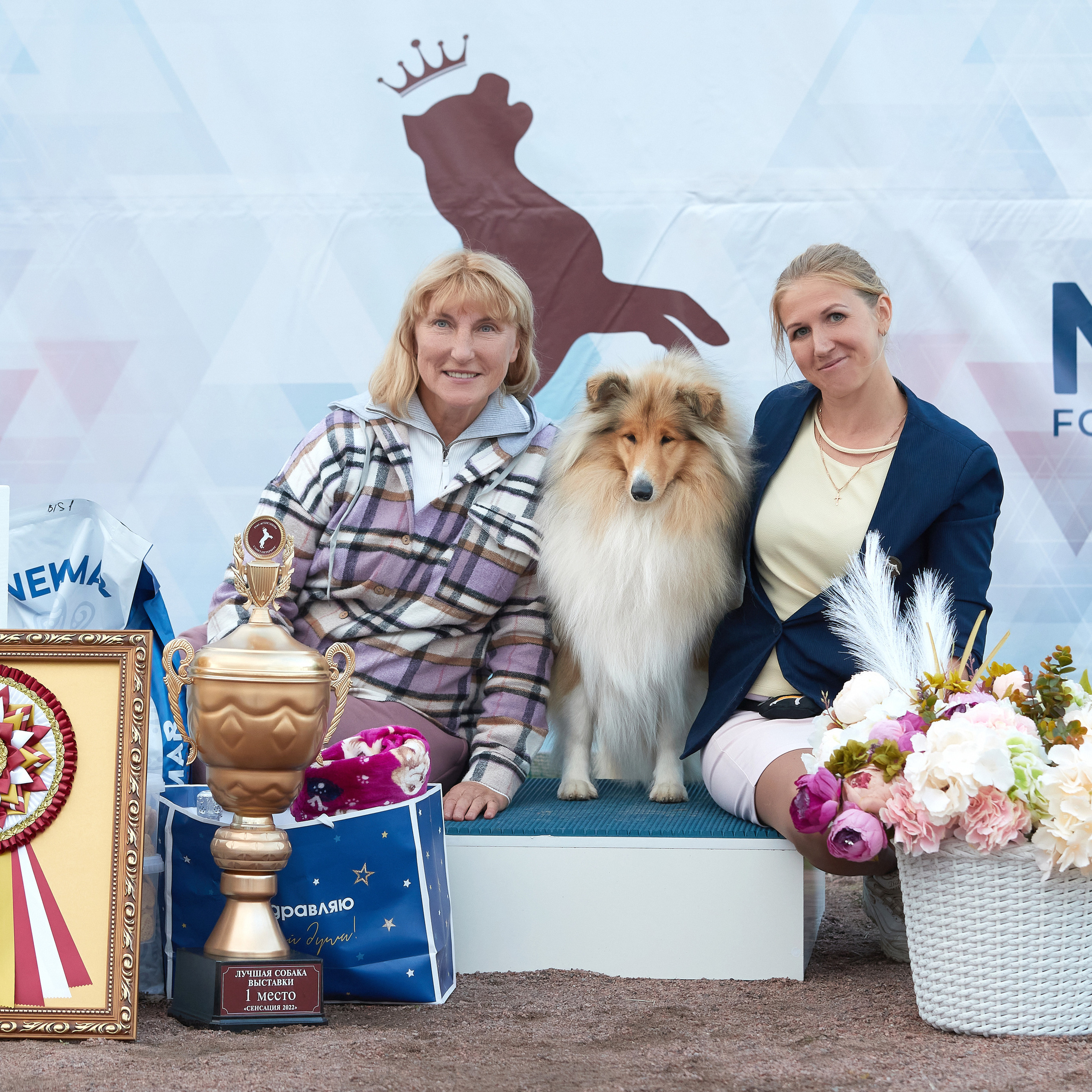 18.09.22 ВЫСТАВКА СОБАК ВСЕХ ПОРОД (CAC, ЧФ) «СЕНСАЦИЯ-2022». Кинологический клуб РКФ РФСС СЕНСАЦИЯ