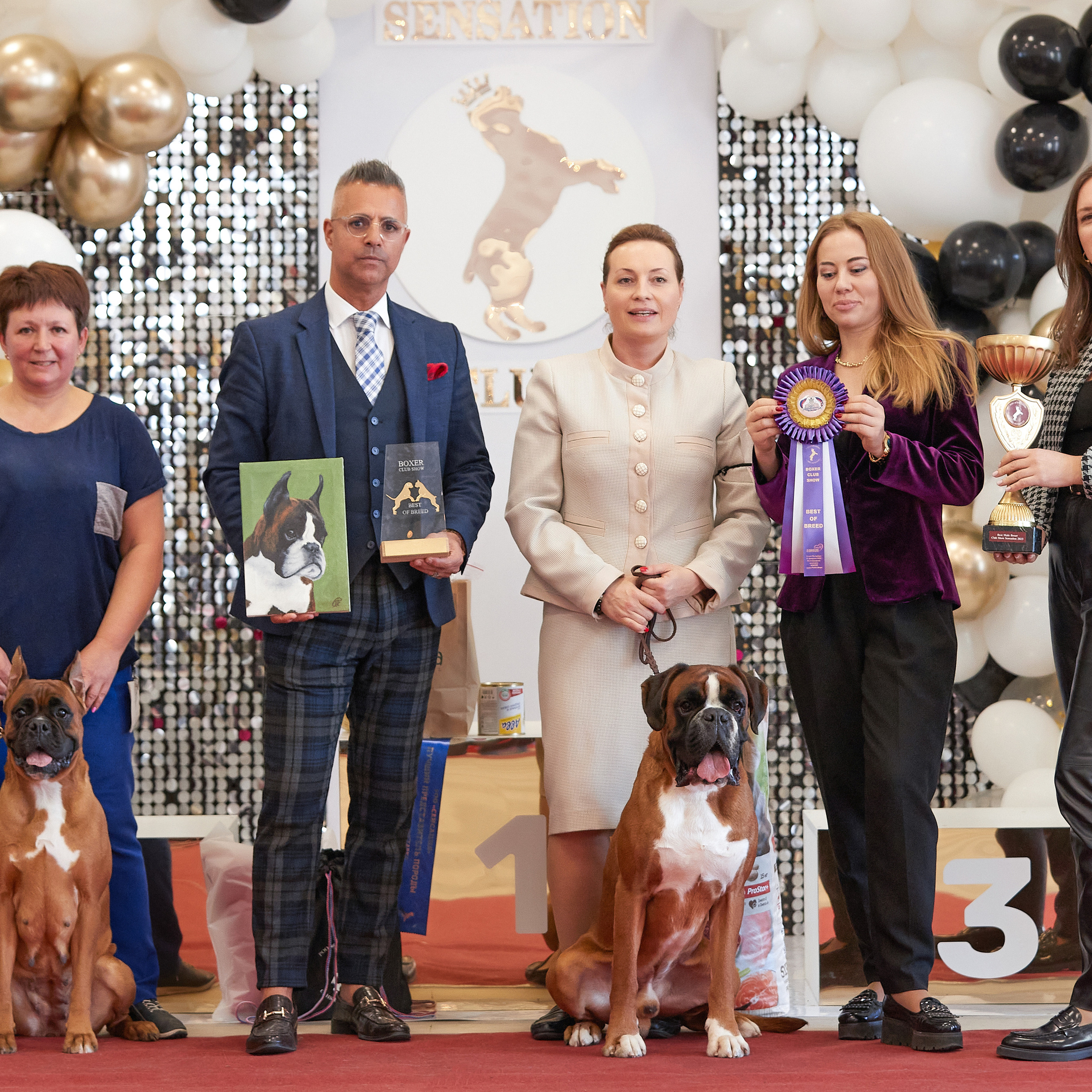 11.02.23 ВЫСТАВКА СОБАК ВСЕХ ПОРОД (CAC, ЧФ) «СЕНСАЦИЯ-2023». Кинологический клуб РКФ РФСС СЕНСАЦИЯ