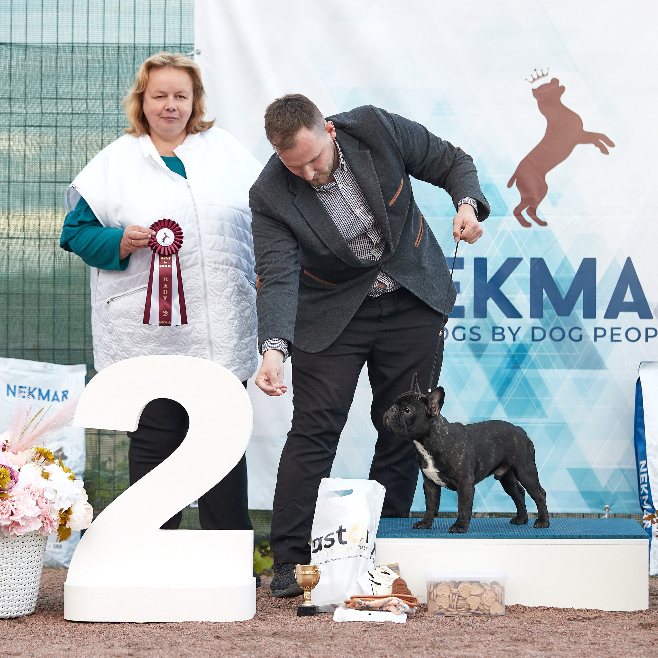 18.09.22 ВЫСТАВКА СОБАК ВСЕХ ПОРОД (CAC, ЧФ) «СЕНСАЦИЯ-2022». Кинологический клуб РКФ РФСС СЕНСАЦИЯ