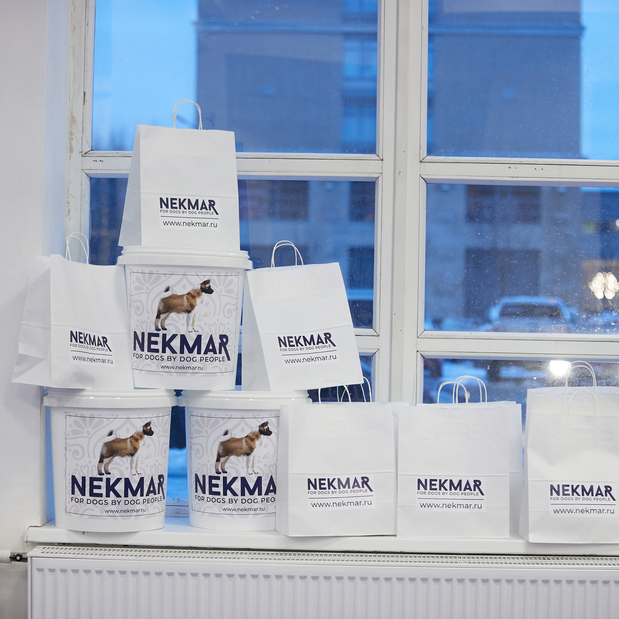 11.02.23 ВЫСТАВКА СОБАК ВСЕХ ПОРОД (CAC, ЧФ) «СЕНСАЦИЯ-2023». Кинологический клуб РКФ РФСС СЕНСАЦИЯ