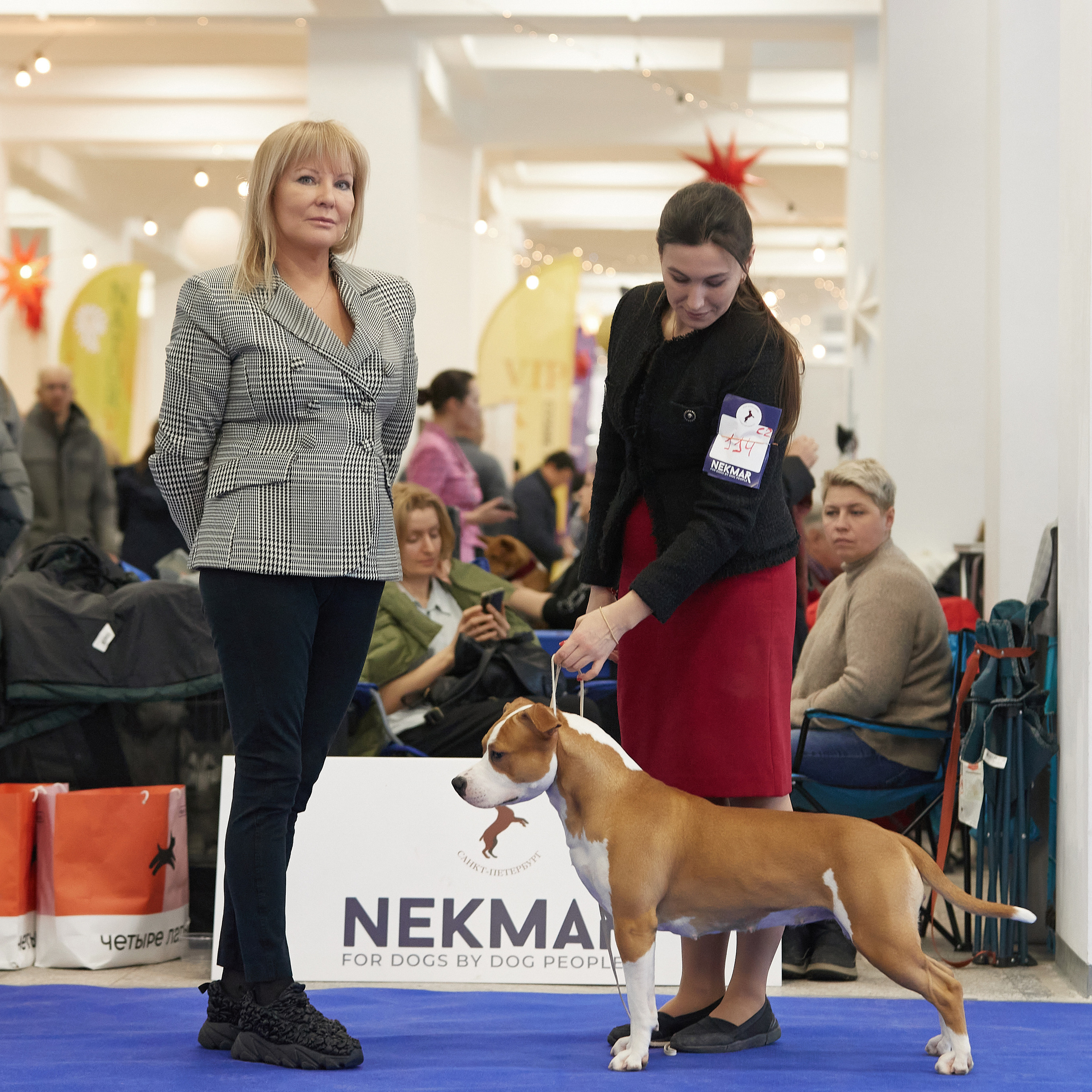 11.02.23 ВЫСТАВКА СОБАК ВСЕХ ПОРОД (CAC, ЧФ) «СЕНСАЦИЯ-2023». Кинологический клуб РКФ РФСС СЕНСАЦИЯ