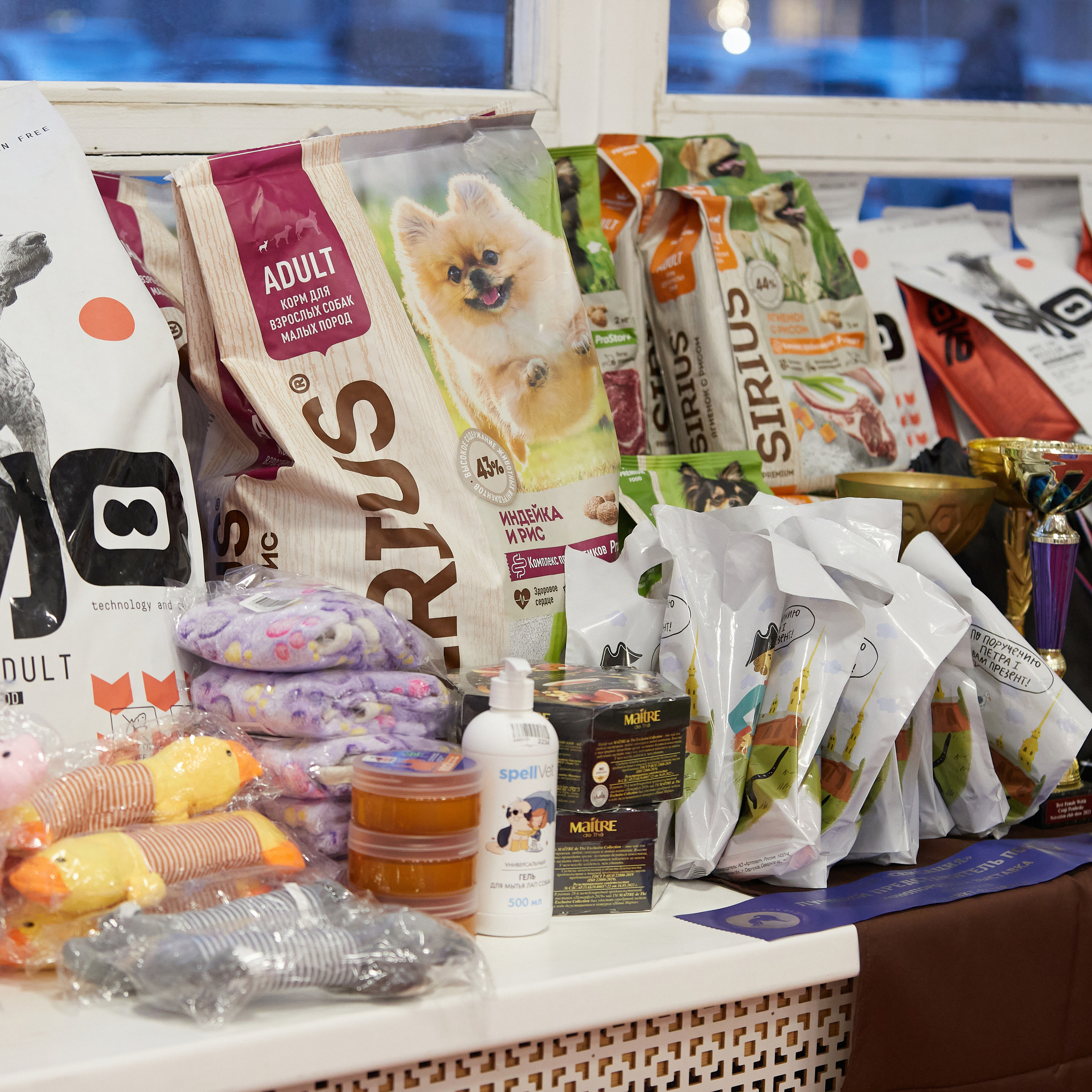 11.02.23 ВЫСТАВКА СОБАК ВСЕХ ПОРОД (CAC, ЧФ) «СЕНСАЦИЯ-2023». Кинологический клуб РКФ РФСС СЕНСАЦИЯ