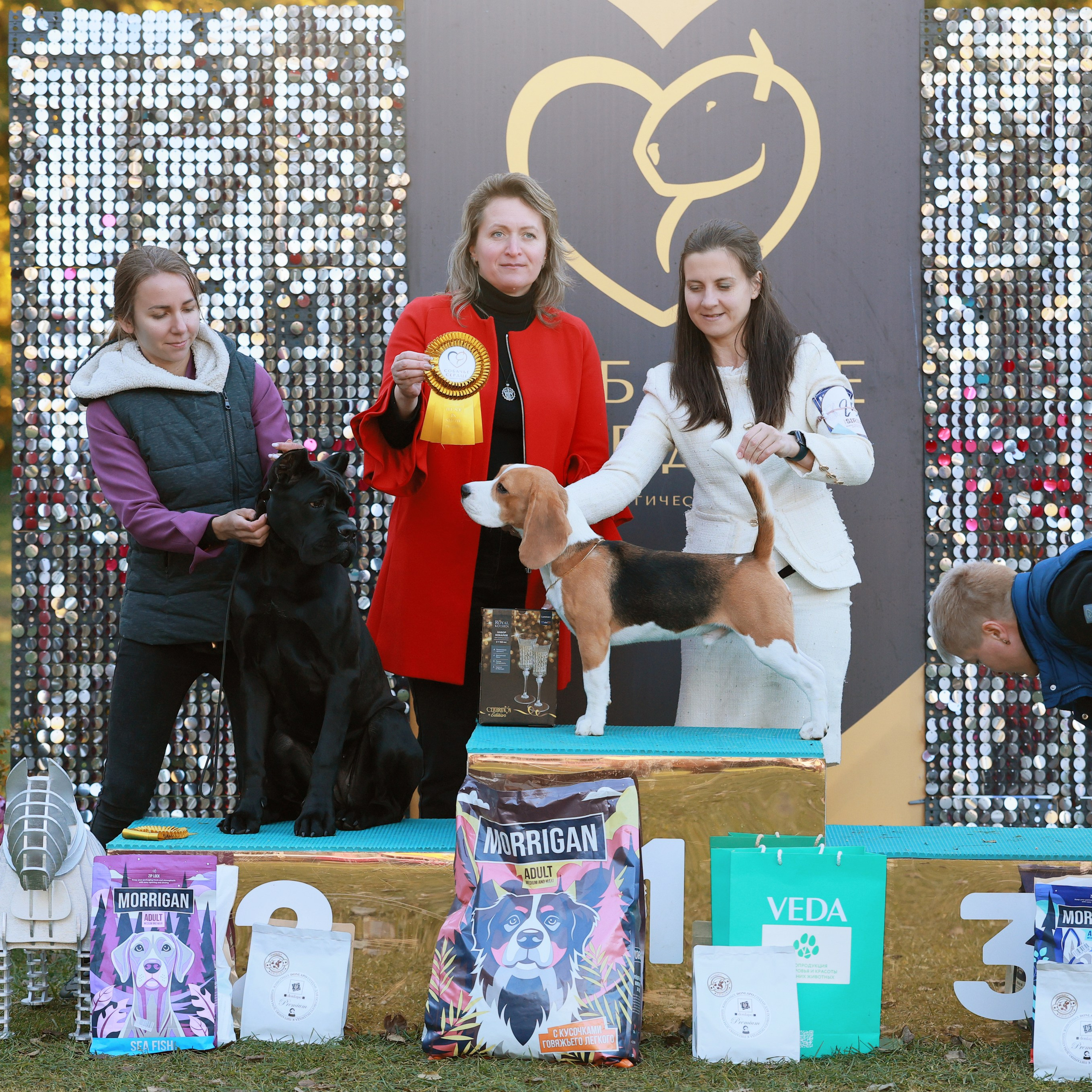 27-28.09.2025 ВЫСТАВКИ СОБАК ВСЕХ ПОРОД (САС, ЧРКФ, ЧФ). Кинологический клуб РКФ РФСС СЕНСАЦИЯ