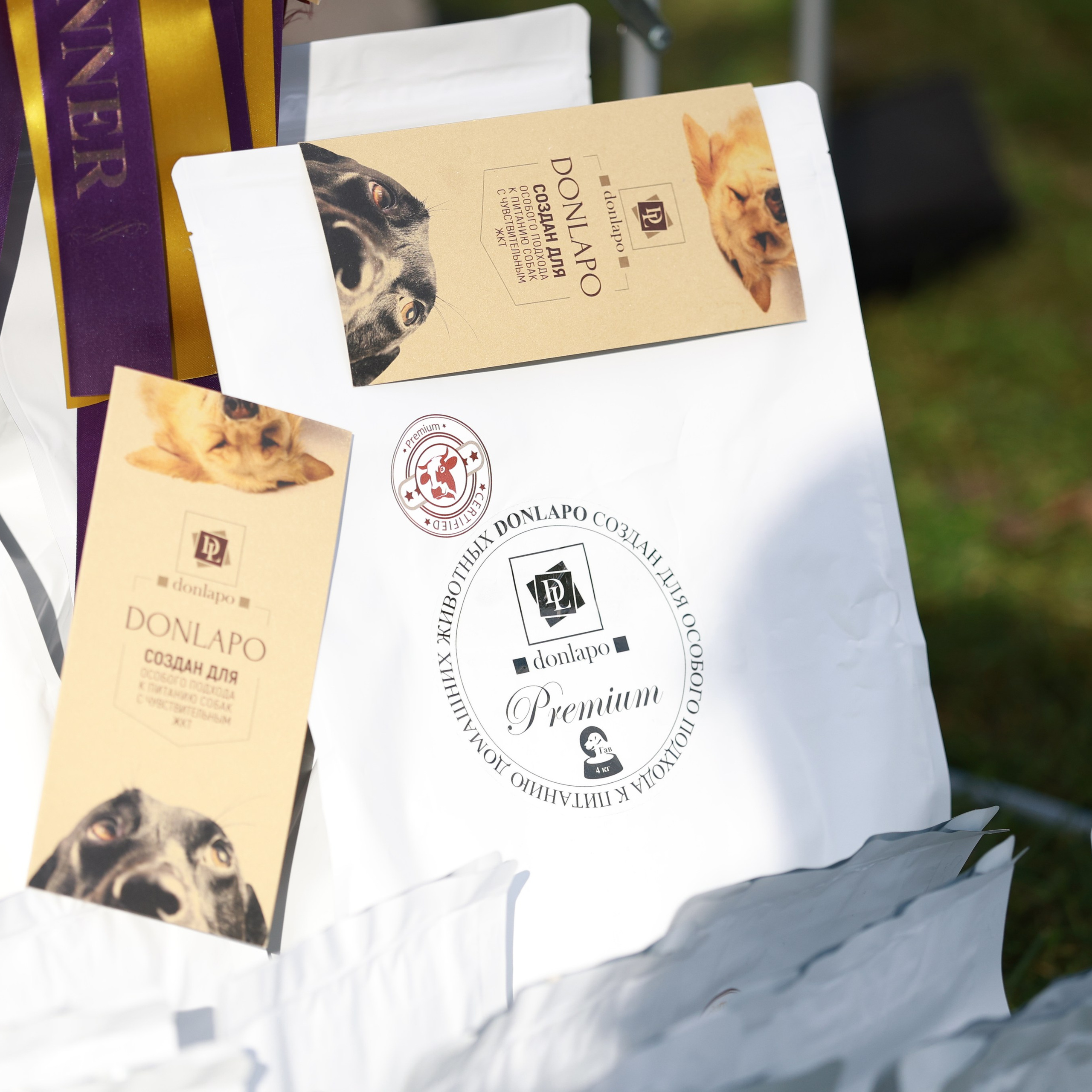 27-28.09.2025 ВЫСТАВКИ СОБАК ВСЕХ ПОРОД (САС, ЧРКФ, ЧФ). Кинологический клуб РКФ РФСС СЕНСАЦИЯ