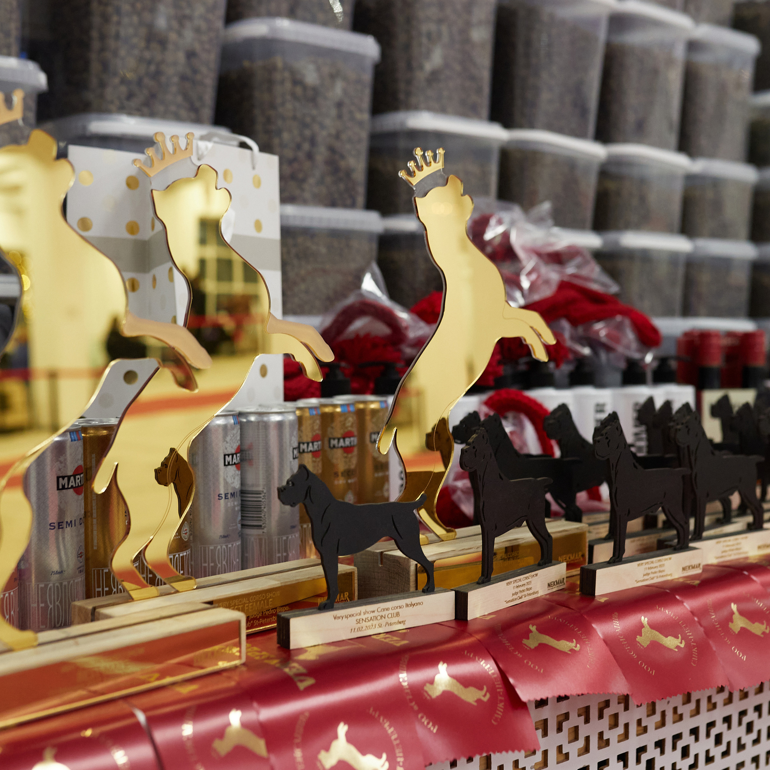 11.02.23 ВЫСТАВКА СОБАК ВСЕХ ПОРОД (CAC, ЧФ) «СЕНСАЦИЯ-2023». Кинологический клуб РКФ РФСС СЕНСАЦИЯ
