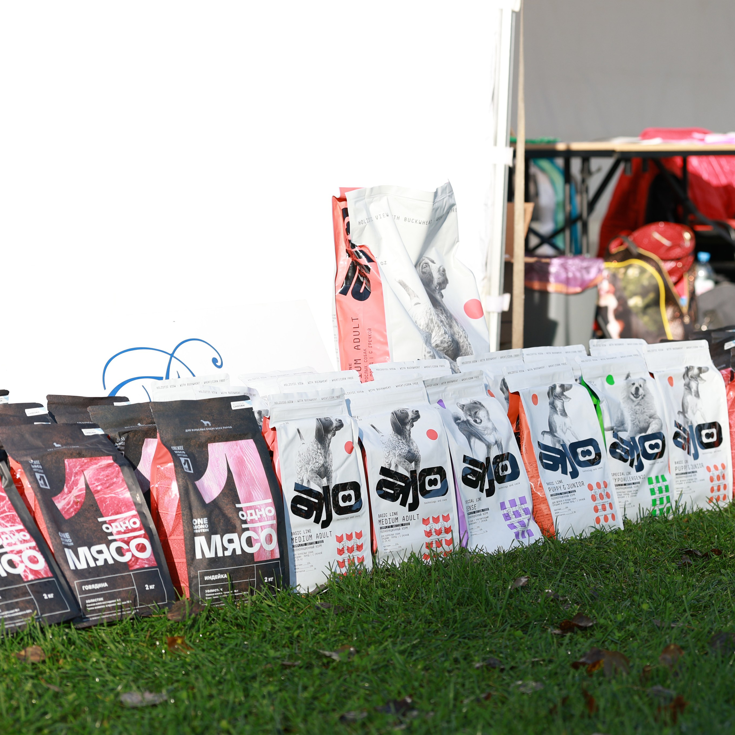 27-28.09.2025 ВЫСТАВКИ СОБАК ВСЕХ ПОРОД (САС, ЧРКФ, ЧФ). Кинологический клуб РКФ РФСС СЕНСАЦИЯ